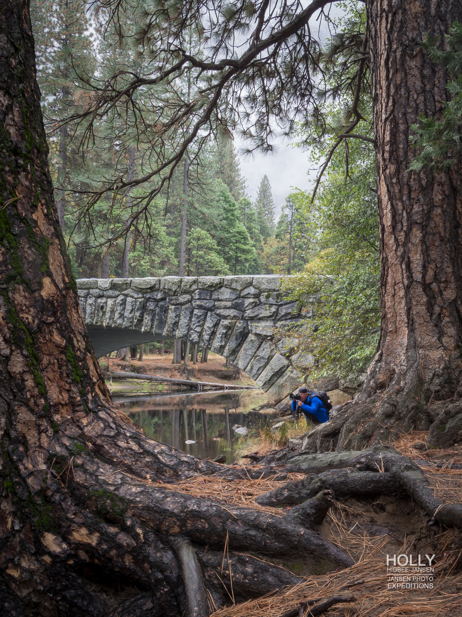 Olympus OM-D E-M5 + OLYMPUS 11-22mm Lens sample photo. The yosemite photographer photography