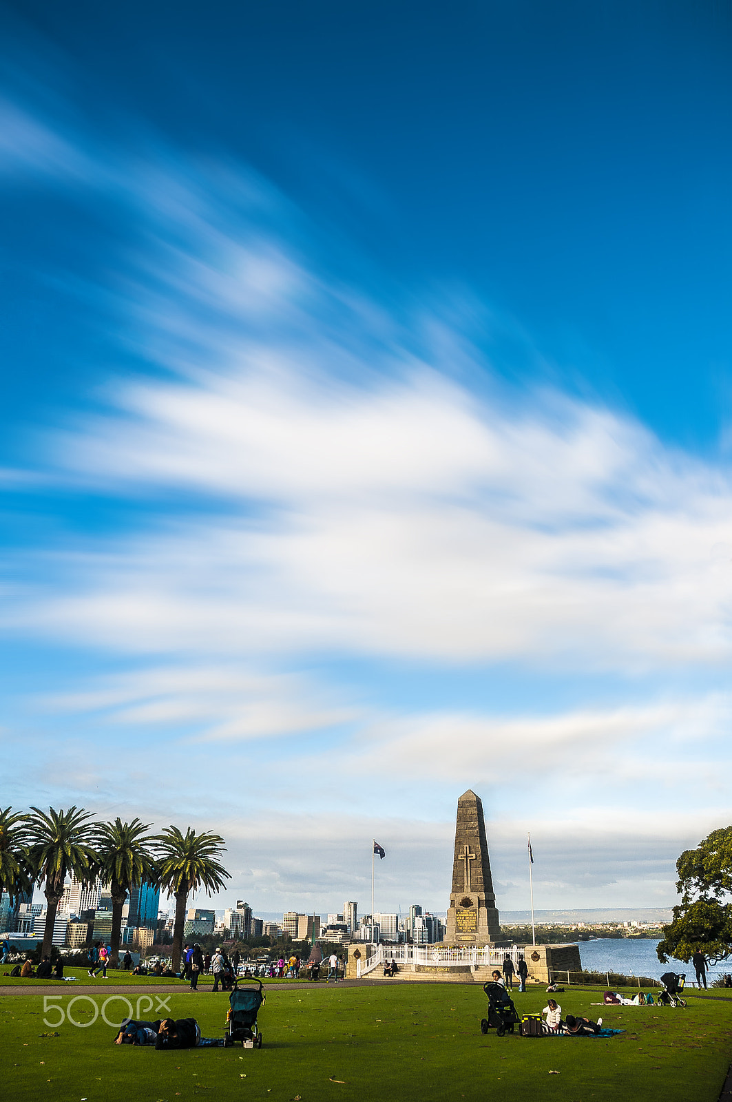 Nikon D300S sample photo. Kings park photography