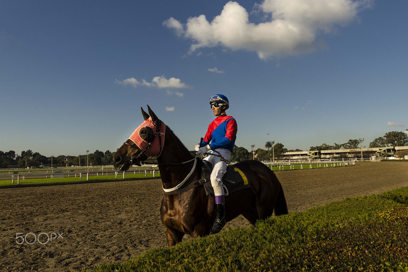 Sigma 8-16mm F4.5-5.6 DC HSM sample photo. Hipódromo photography