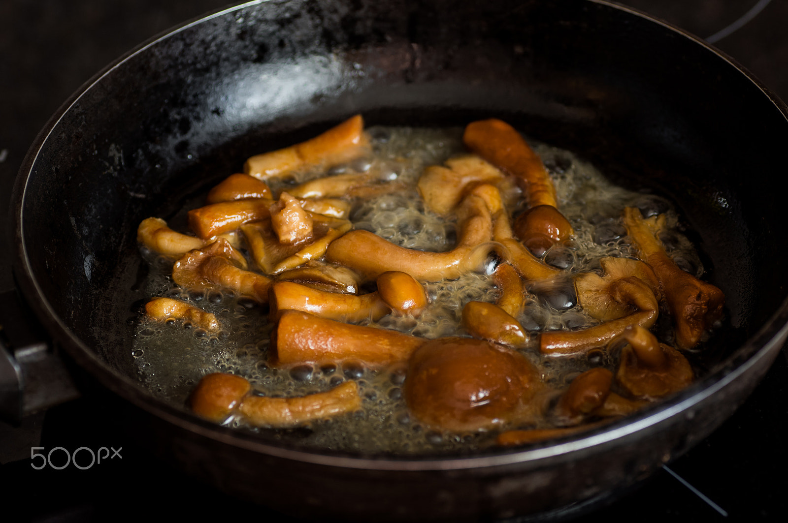 Pentax K-r + Tamron SP AF 90mm F2.8 Di Macro sample photo. Fried mushrooms photography