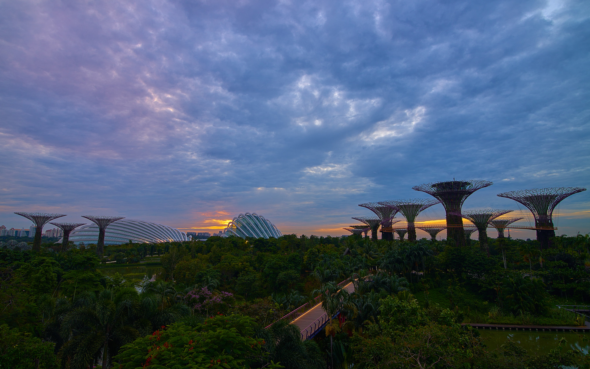 Sony a7R + 16-28mm F2.8 sample photo. Gardens by the bay photography