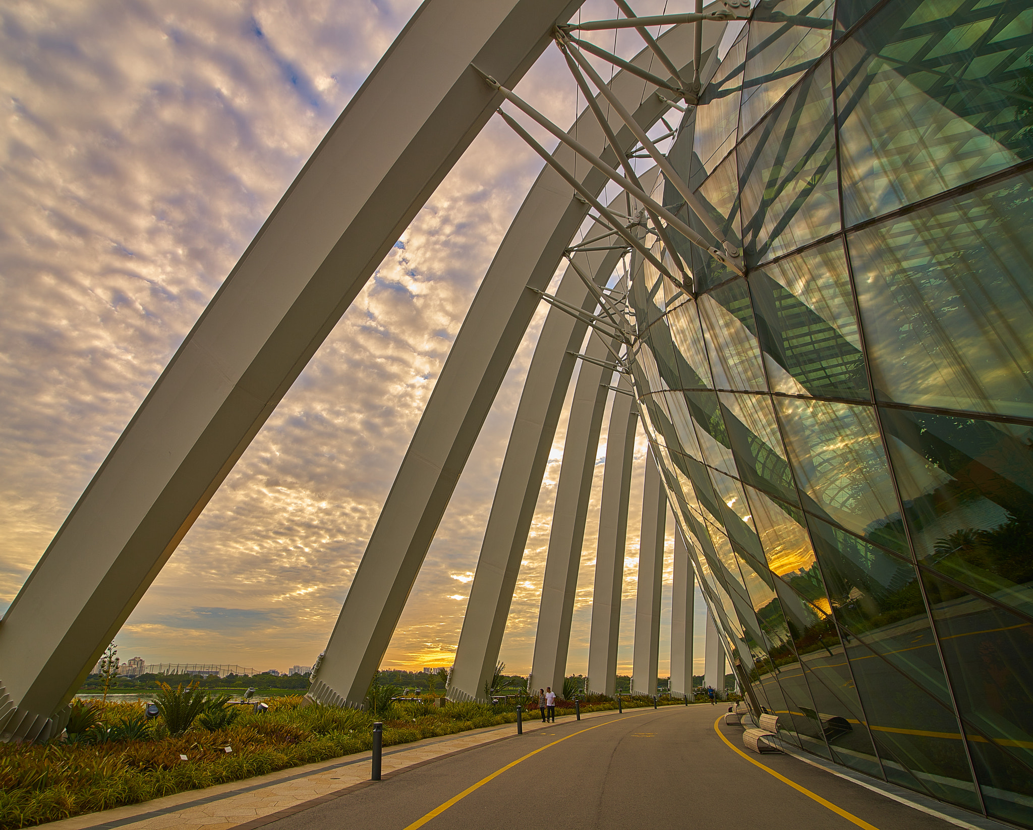 Sony a7R + 16-28mm F2.8 sample photo. Flower dome sunrise photography