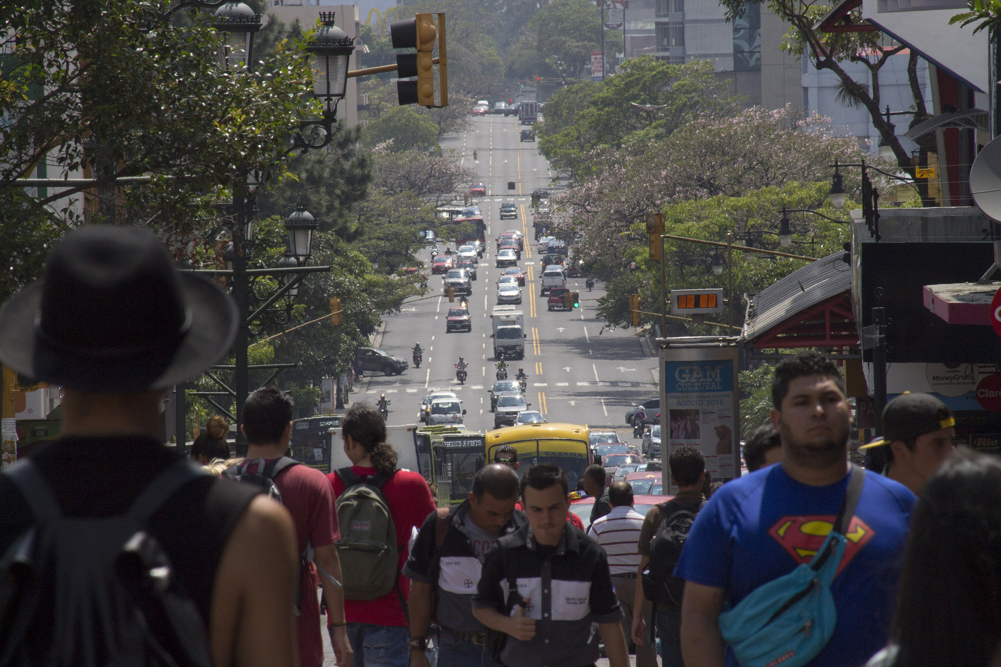 Canon EF 80-200mm F4.5-5.6 II sample photo. . photography