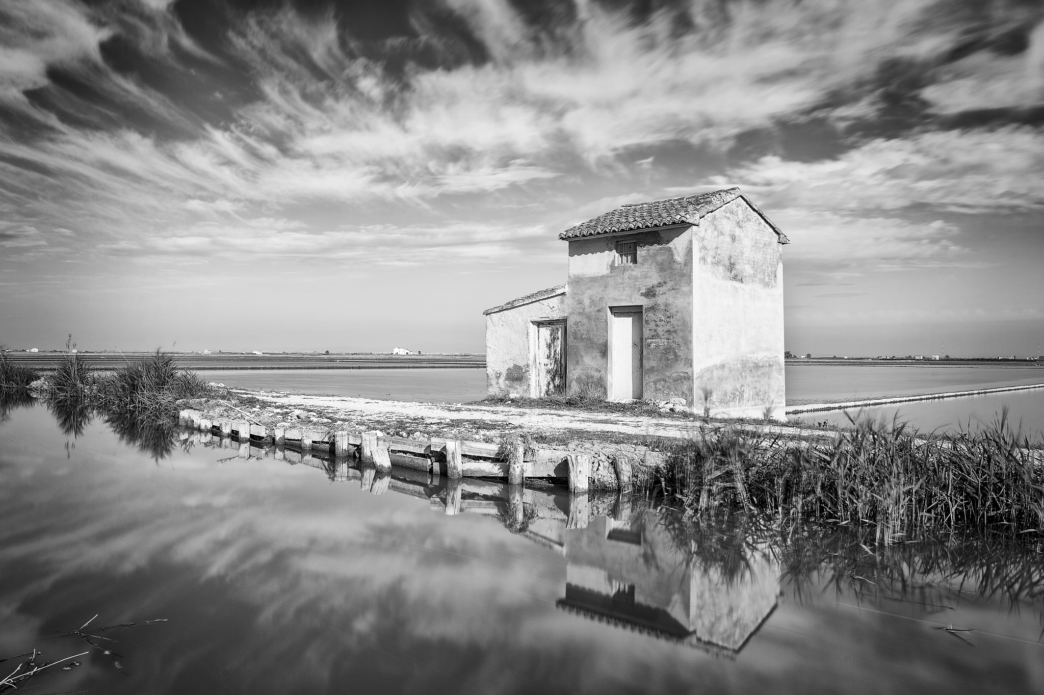 Nikon Df + Nikon AF-S Nikkor 28mm F1.8G sample photo. Rice fields photography