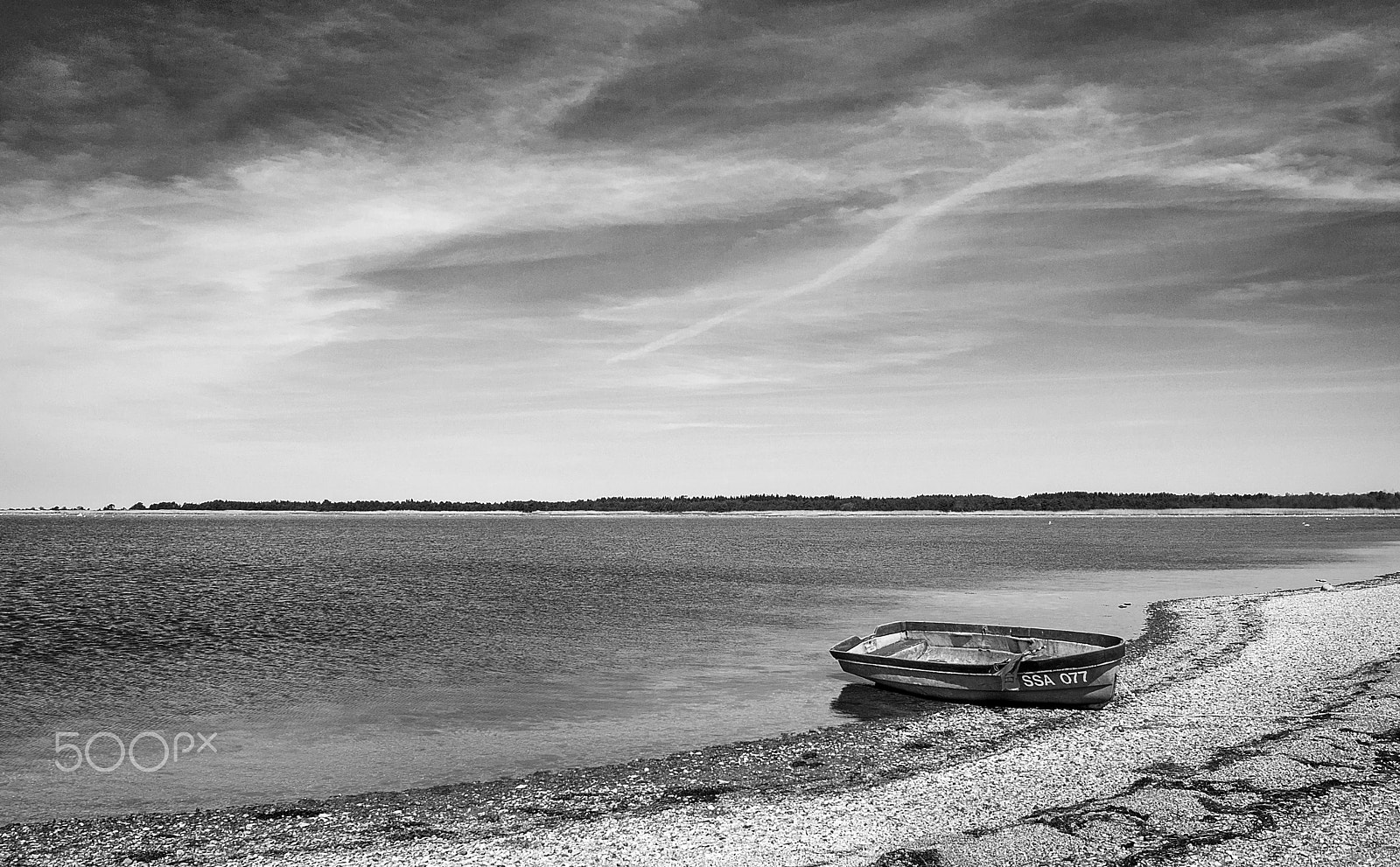 Sony DT 18-55mm F3.5-5.6 SAM II sample photo. Bw photography