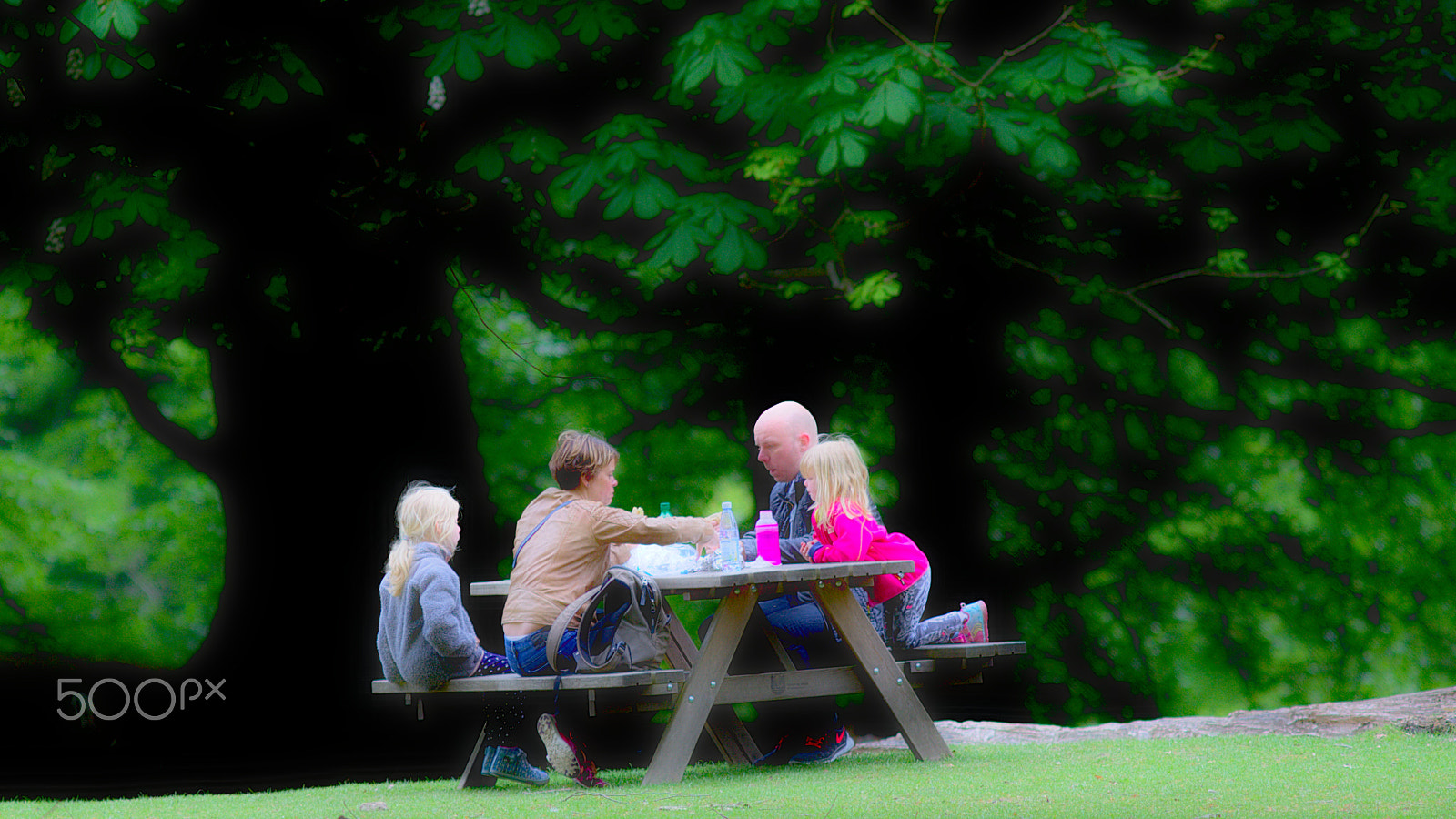 Canon EF 300mm F4L IS USM sample photo. Lunchinthegreen photography