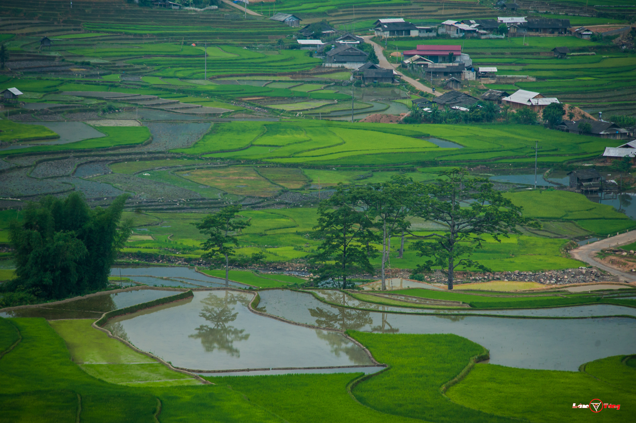 AF Zoom-Nikkor 70-210mm f/4 sample photo. Green photography