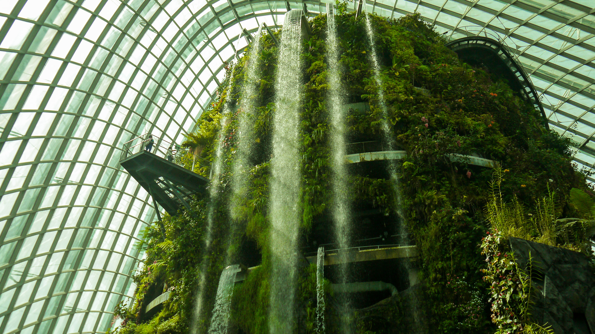 Panasonic Lumix DMC-GF3 sample photo. Singapore gardens photography