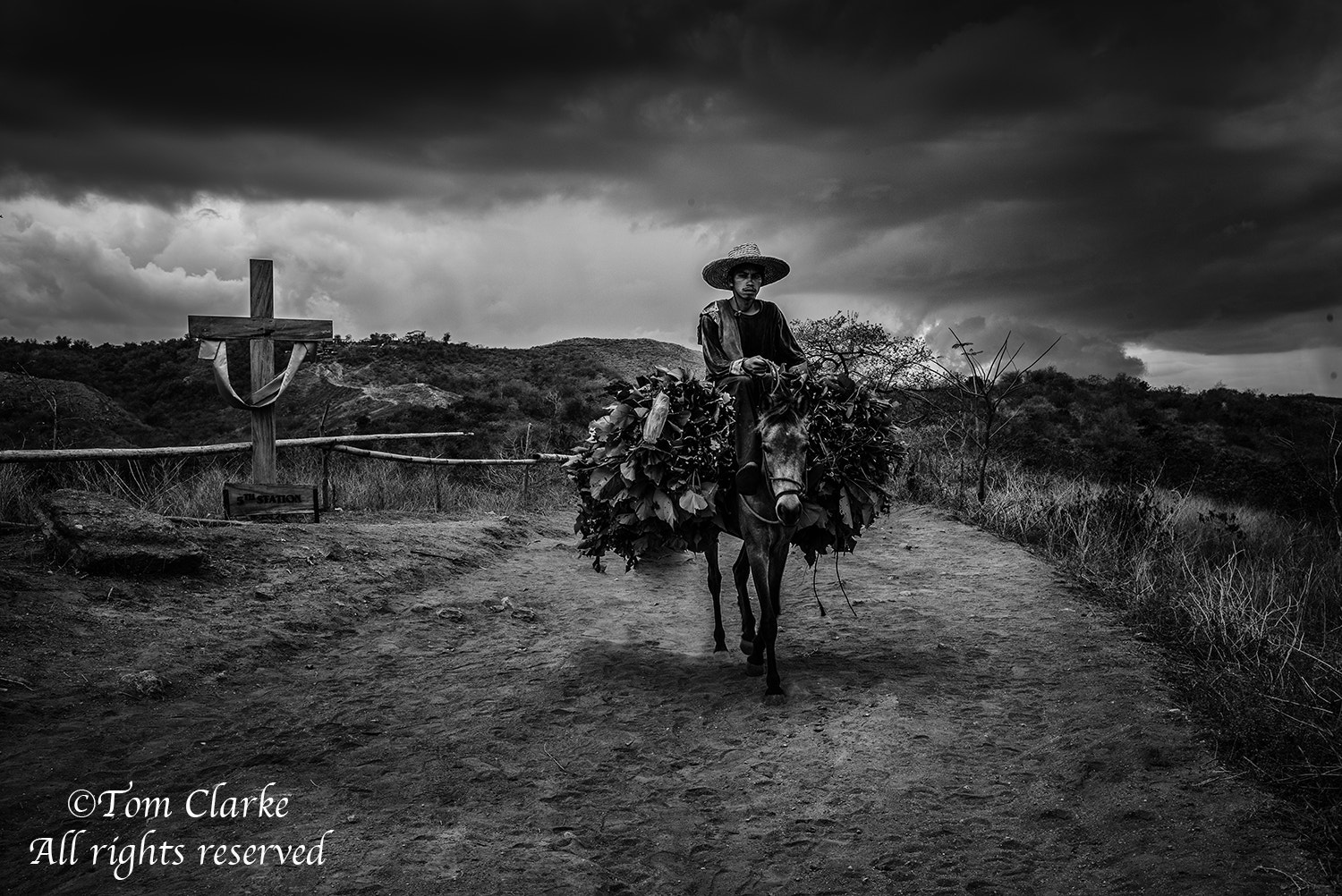 Leica Summilux-M 35mm F1.4 ASPH sample photo. This shot taken on a volcanic island in the philippines, on the ascent to the crater.  photography