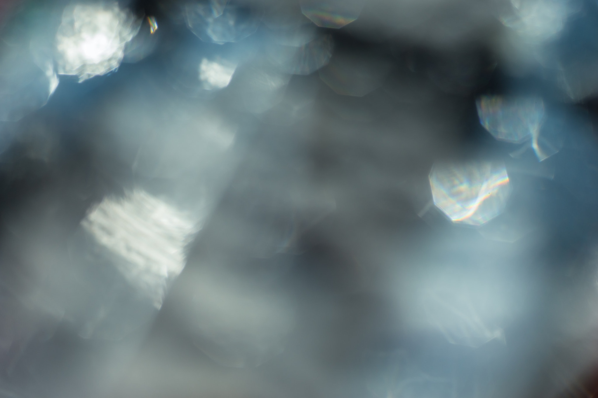 E 50mm F2 sample photo. Bokeh photography