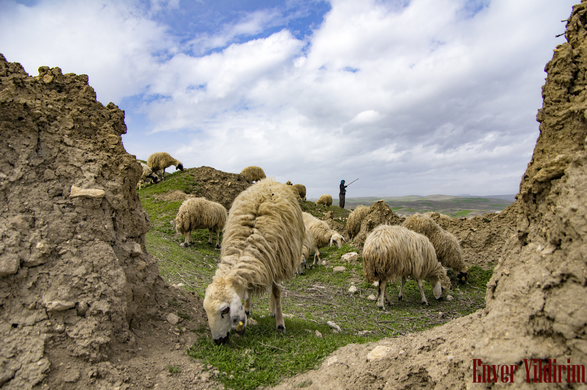 Pentax K-3 + Pentax smc DA 16-45mm F4 ED AL sample photo. Mazgirt-dersim photography