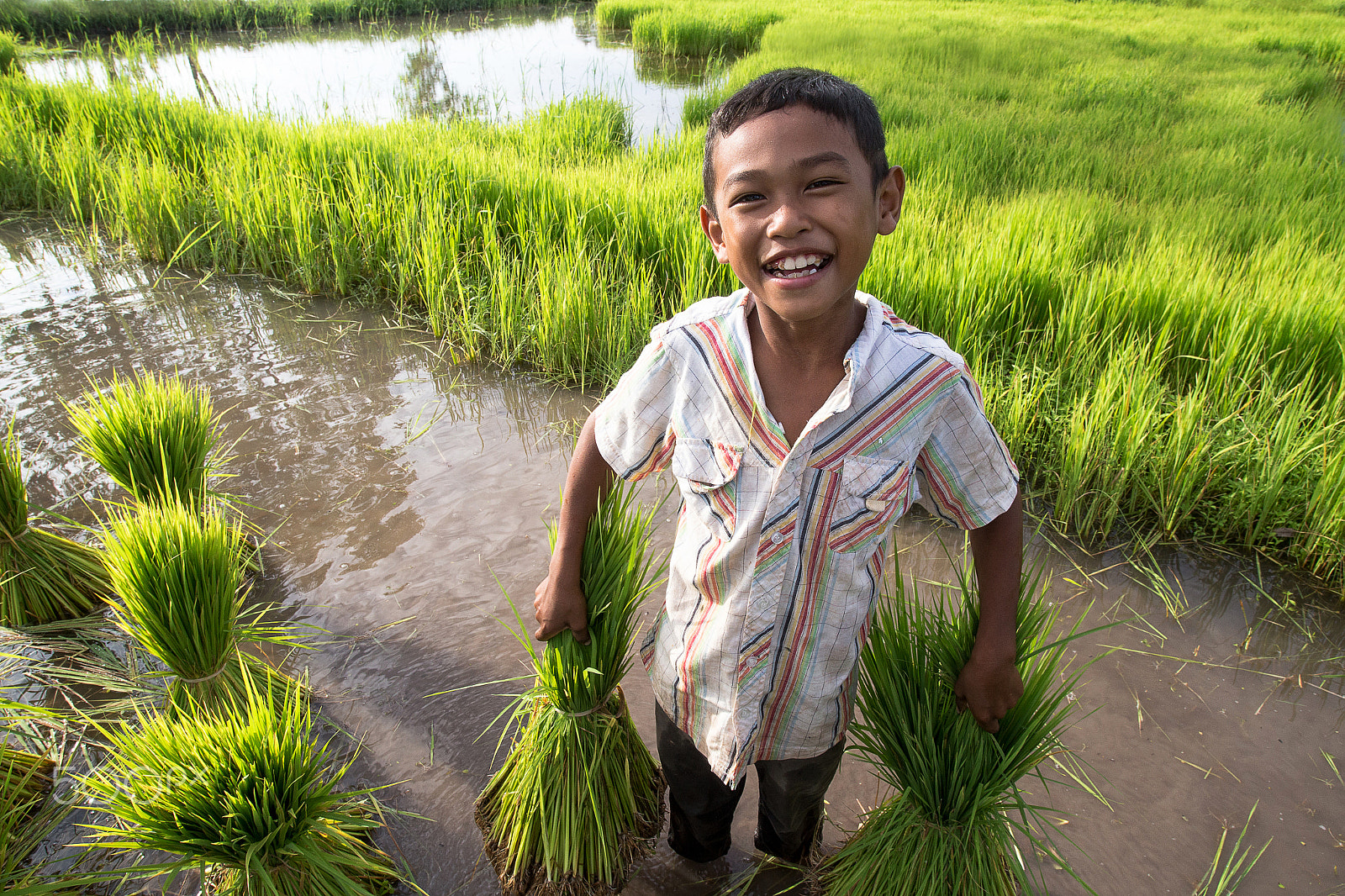 Canon EOS 6D + Sigma 20mm EX f/1.8 sample photo. Little smiling boy farmer on green fields photography
