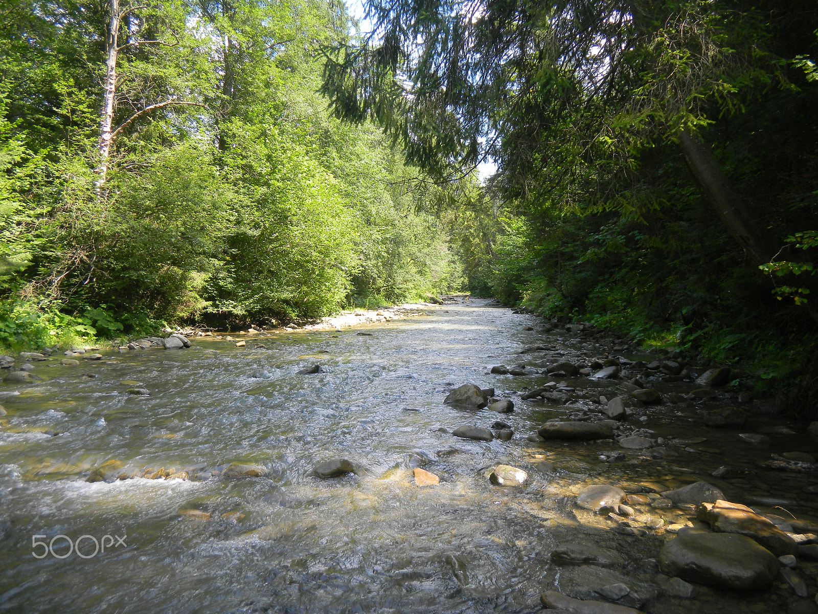 Nikon Coolpix S1100pj sample photo. Mountain river in carpathians photography