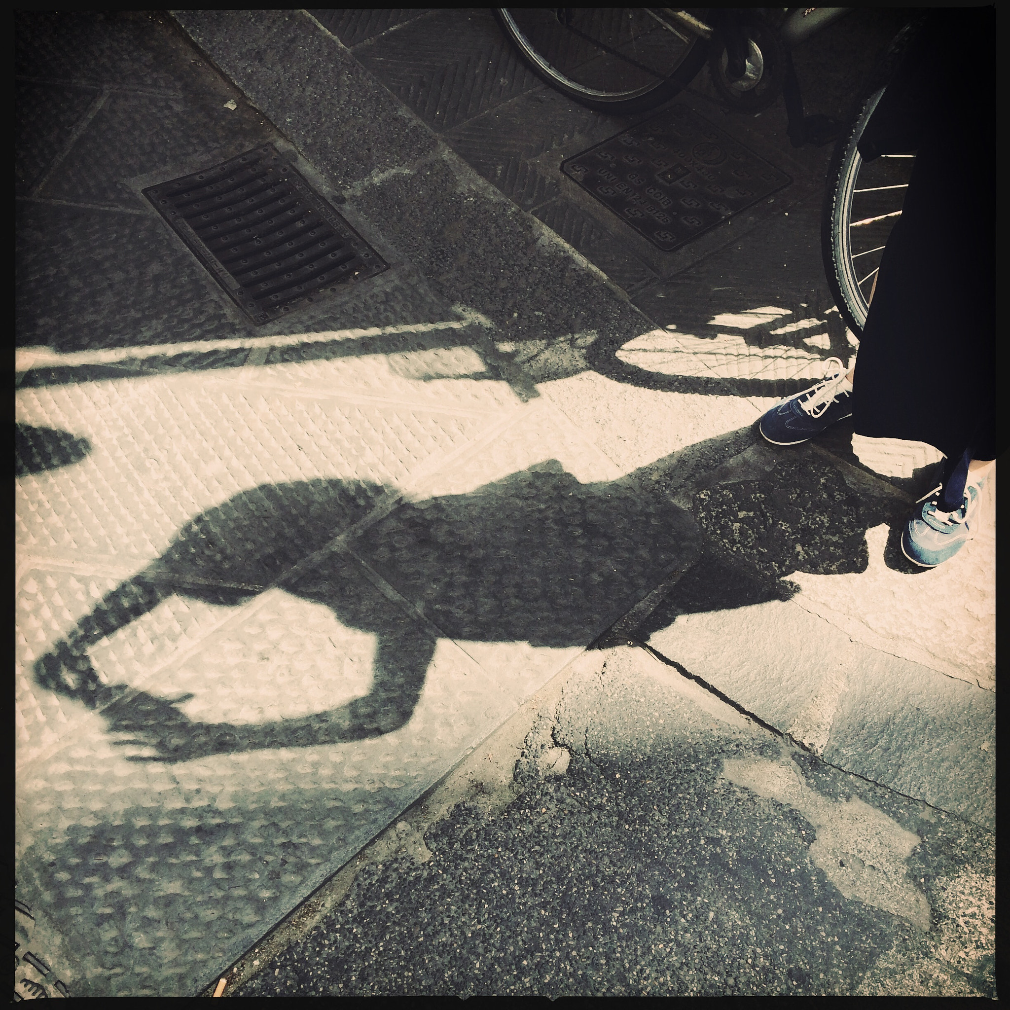 Hipstamatic 274 sample photo. Photo photography