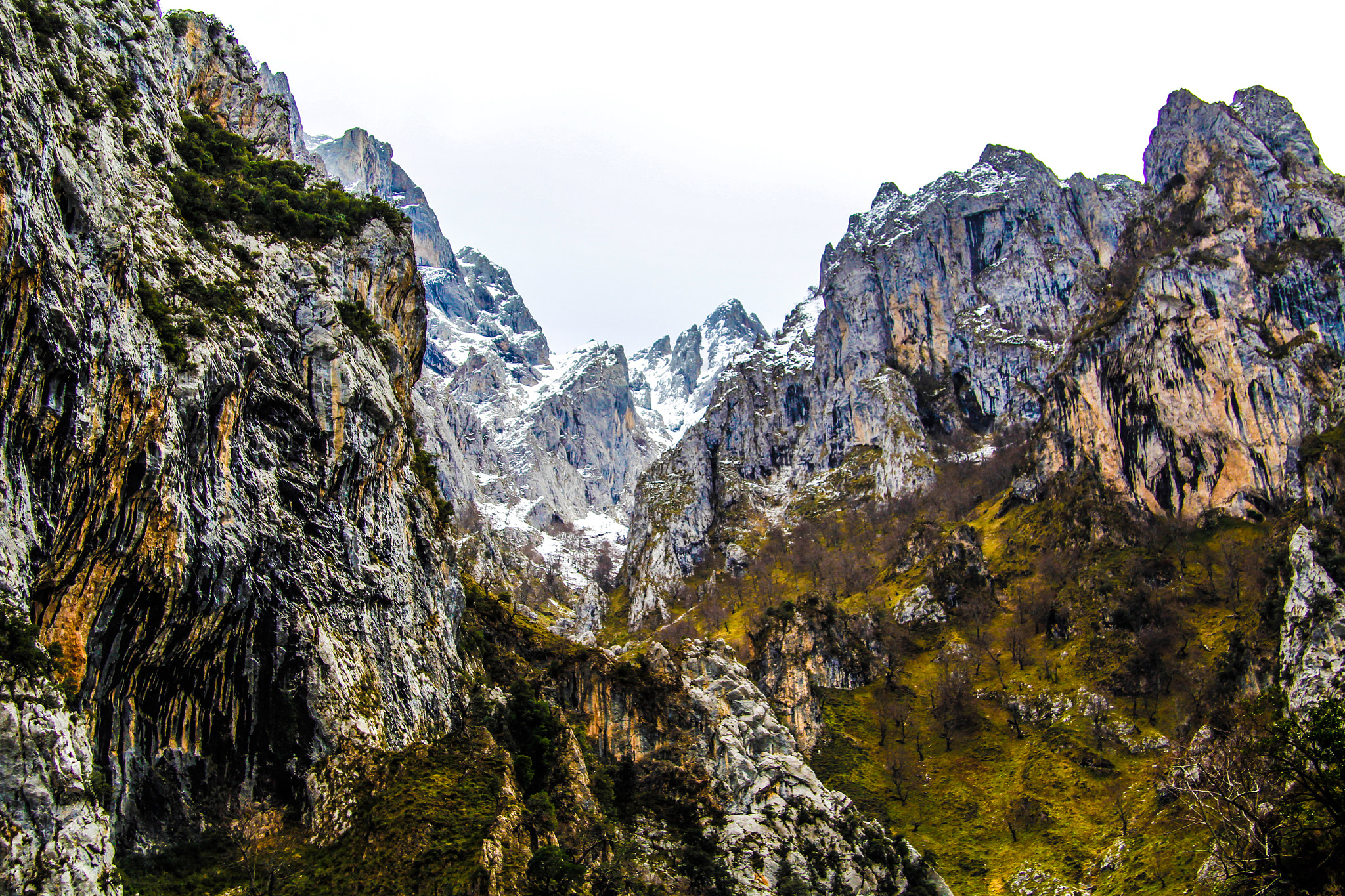 Canon EF-S 17-85mm F4-5.6 IS USM sample photo. Al pie de la senda photography