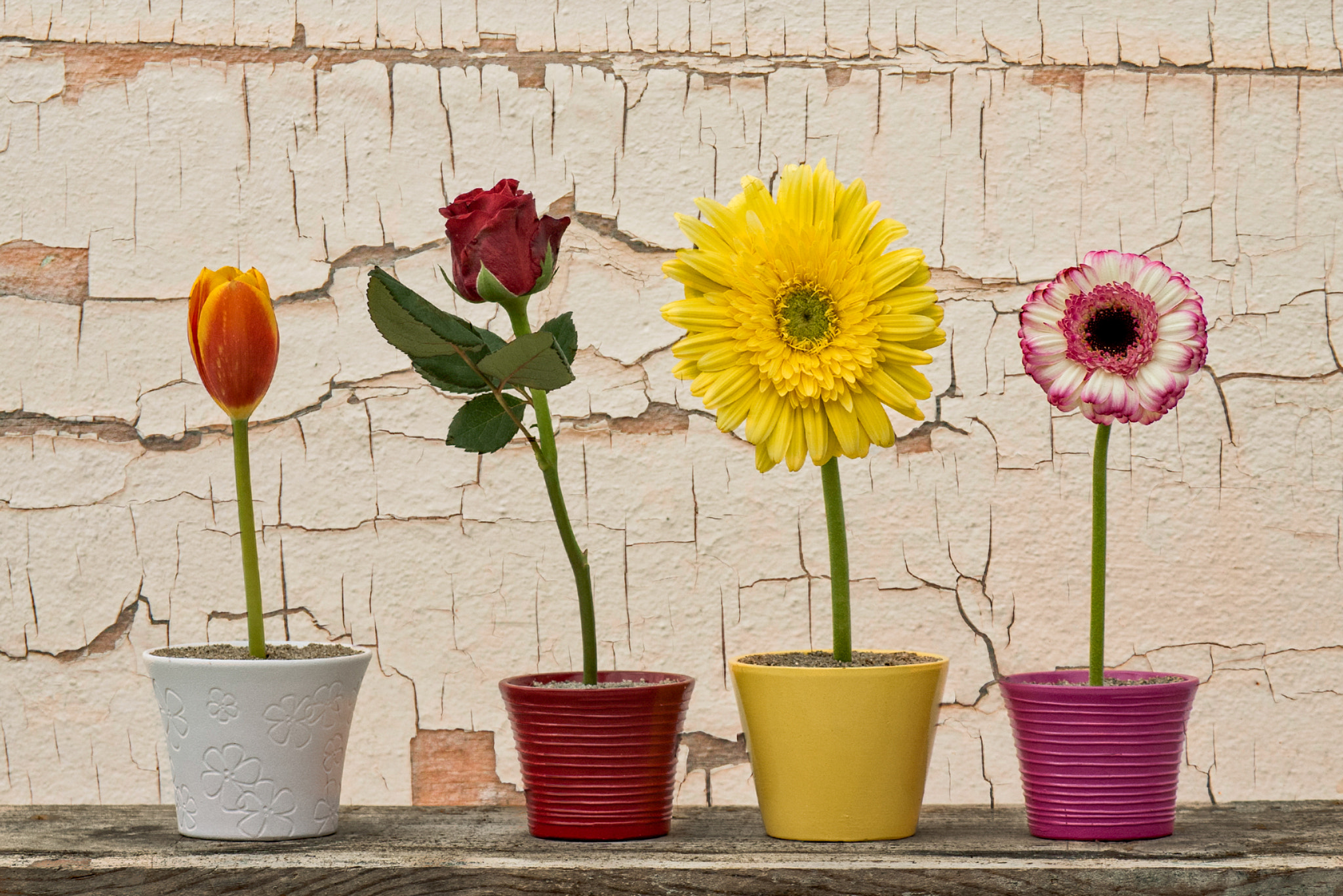 Pentax K100D + Tamron AF 70-300mm F4-5.6 Di LD Macro sample photo. Flowers in vase photography