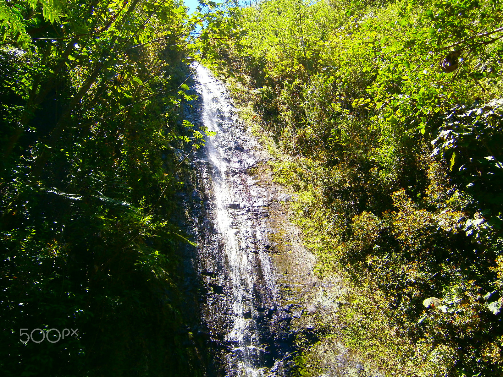 Olympus VG120,D705 sample photo. Manoa falls photography