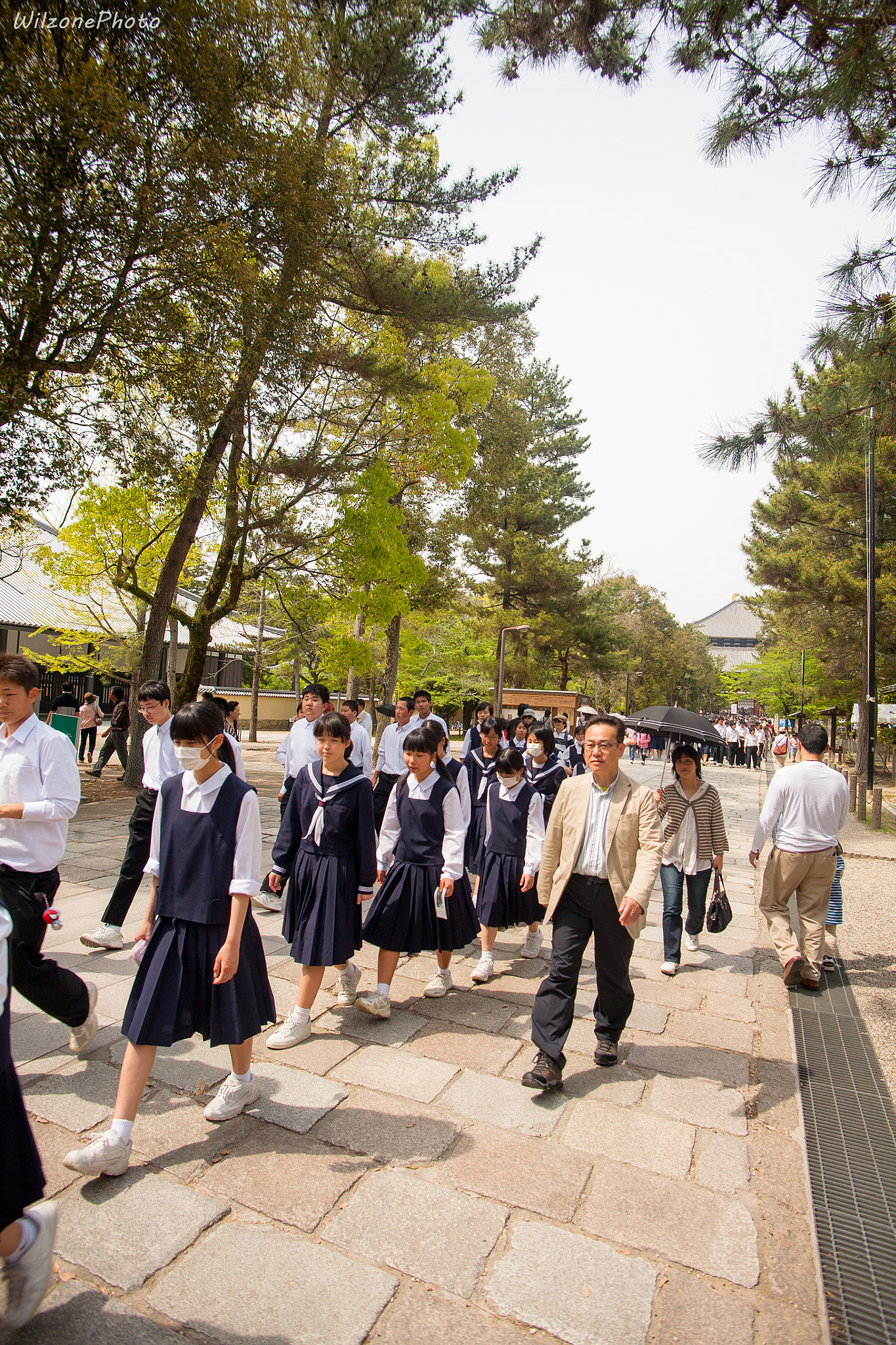 Canon EOS 5D + Tamron AF 19-35mm f/3.5-4.5 sample photo. Nara 138 photography