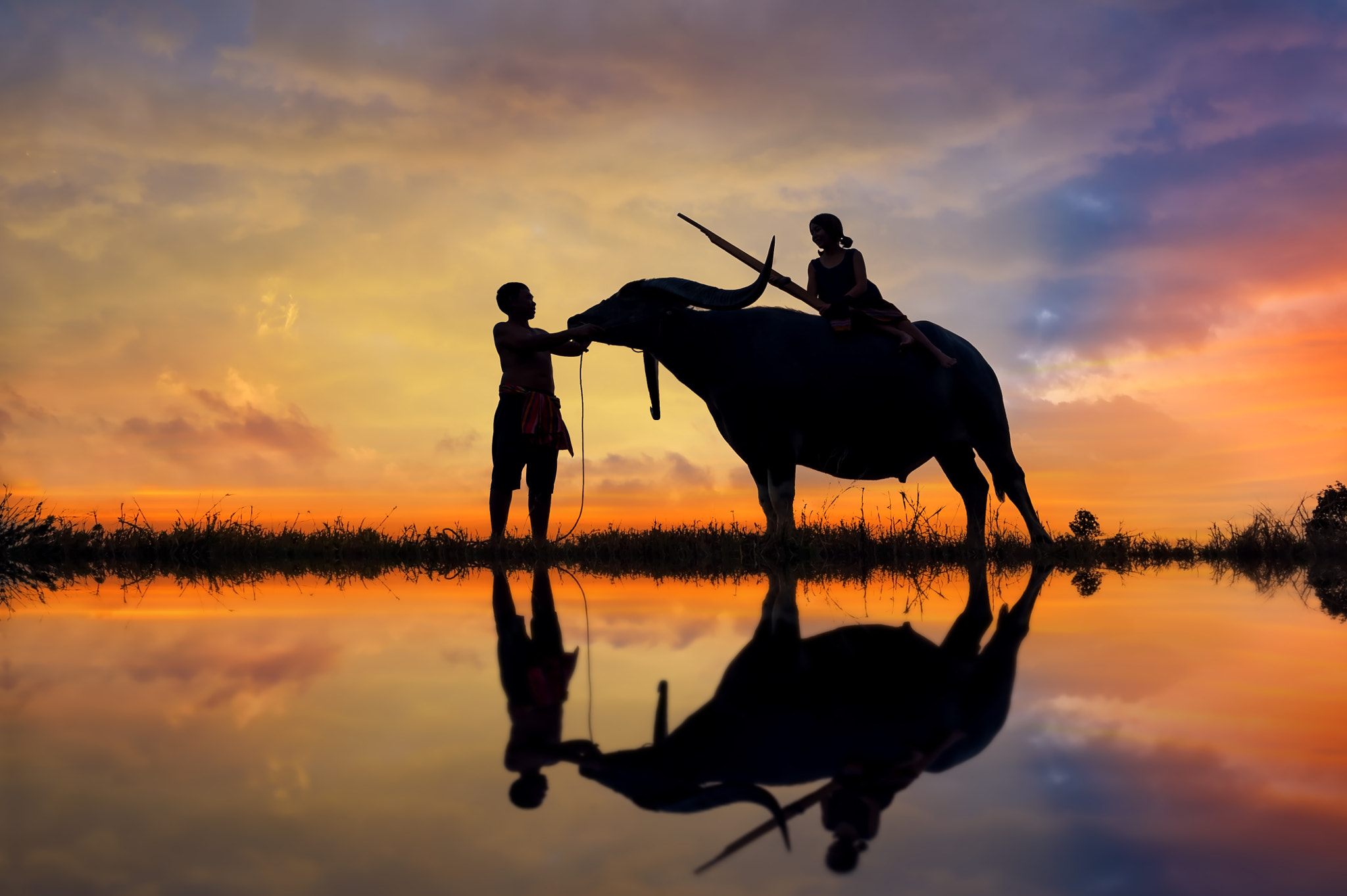 Nikon D700 + Nikon AF-S Nikkor 20mm F1.8G ED sample photo. Silhouette woman riding a buffalo play dryer on a buffalo with father photography