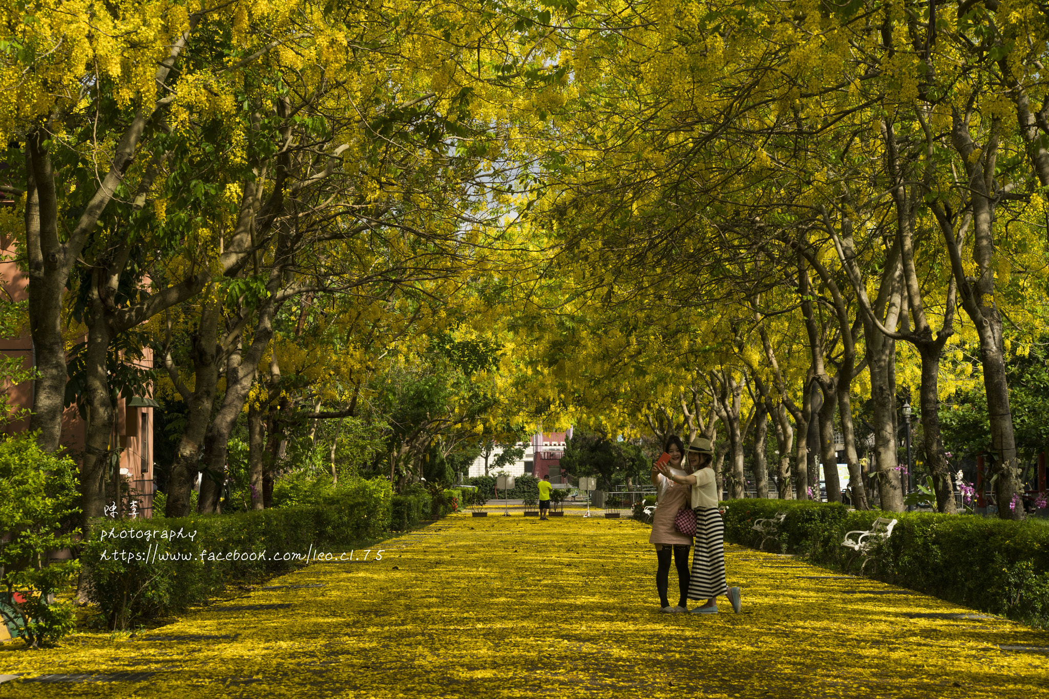 Sigma 50-200mm F4-5.6 DC OS HSM sample photo. Pingtung veterans home photography