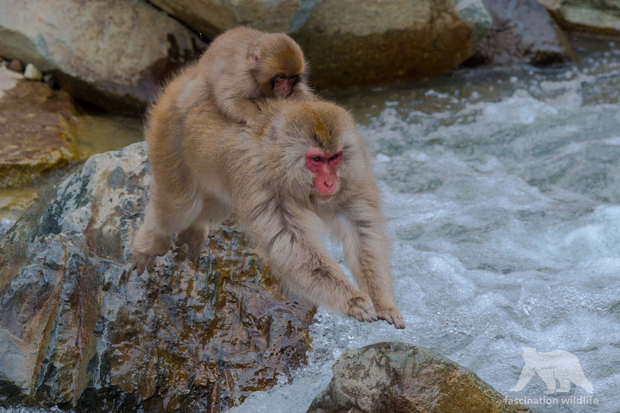 Nikon D4S sample photo. "hold on tight..." photography