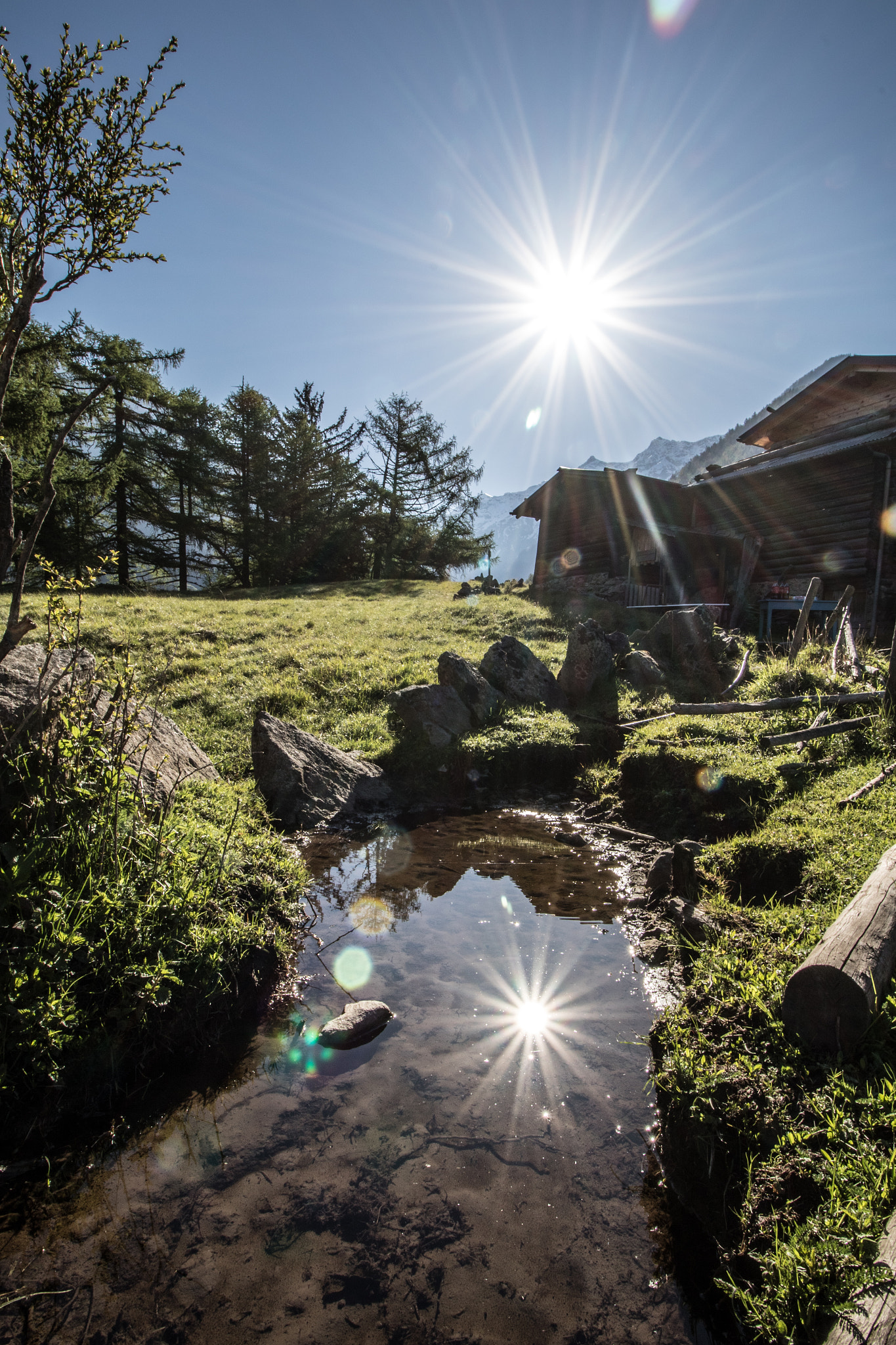 Canon EF-S 10-18mm F4.5–5.6 IS STM sample photo. Sun reflection photography