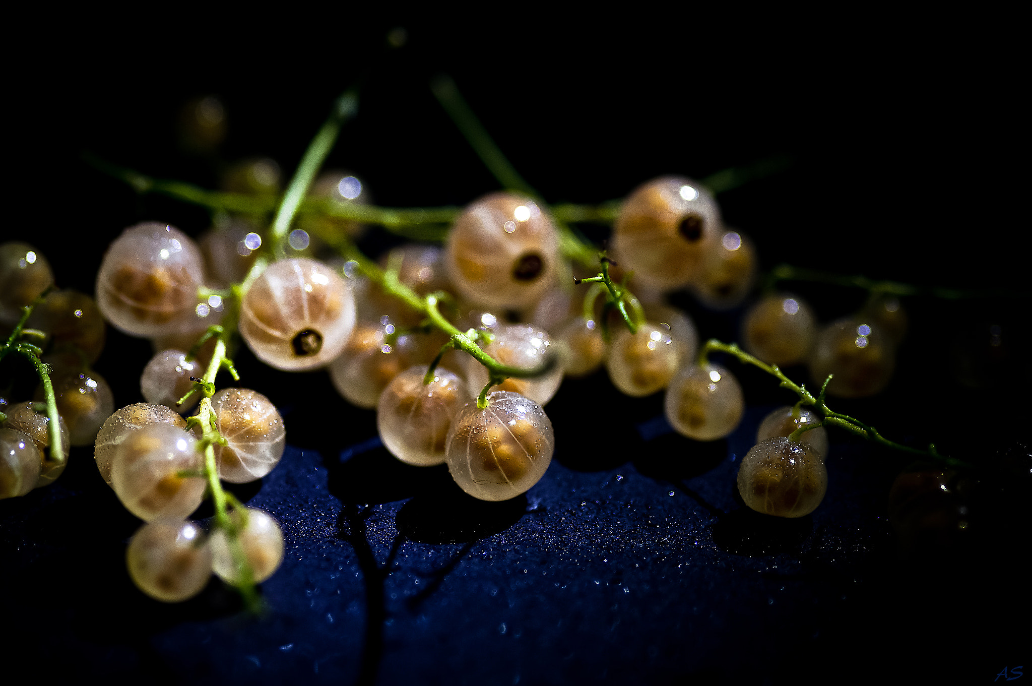 Sony SLT-A57 + Minolta AF 100mm F2.8 Macro [New] sample photo. Planete groseille photography