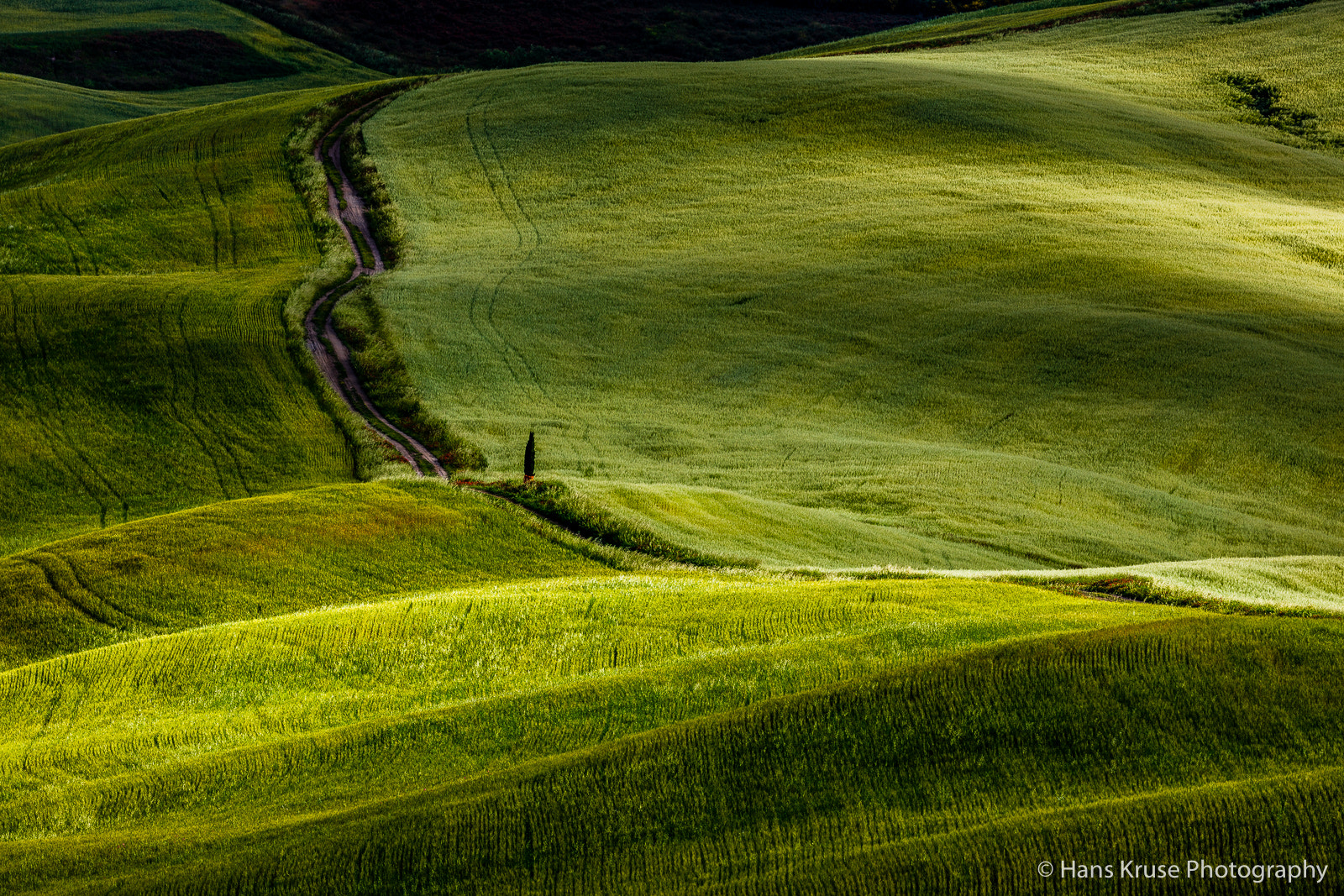 Canon EOS 5DS R sample photo. Tuscan fields in morning light photography