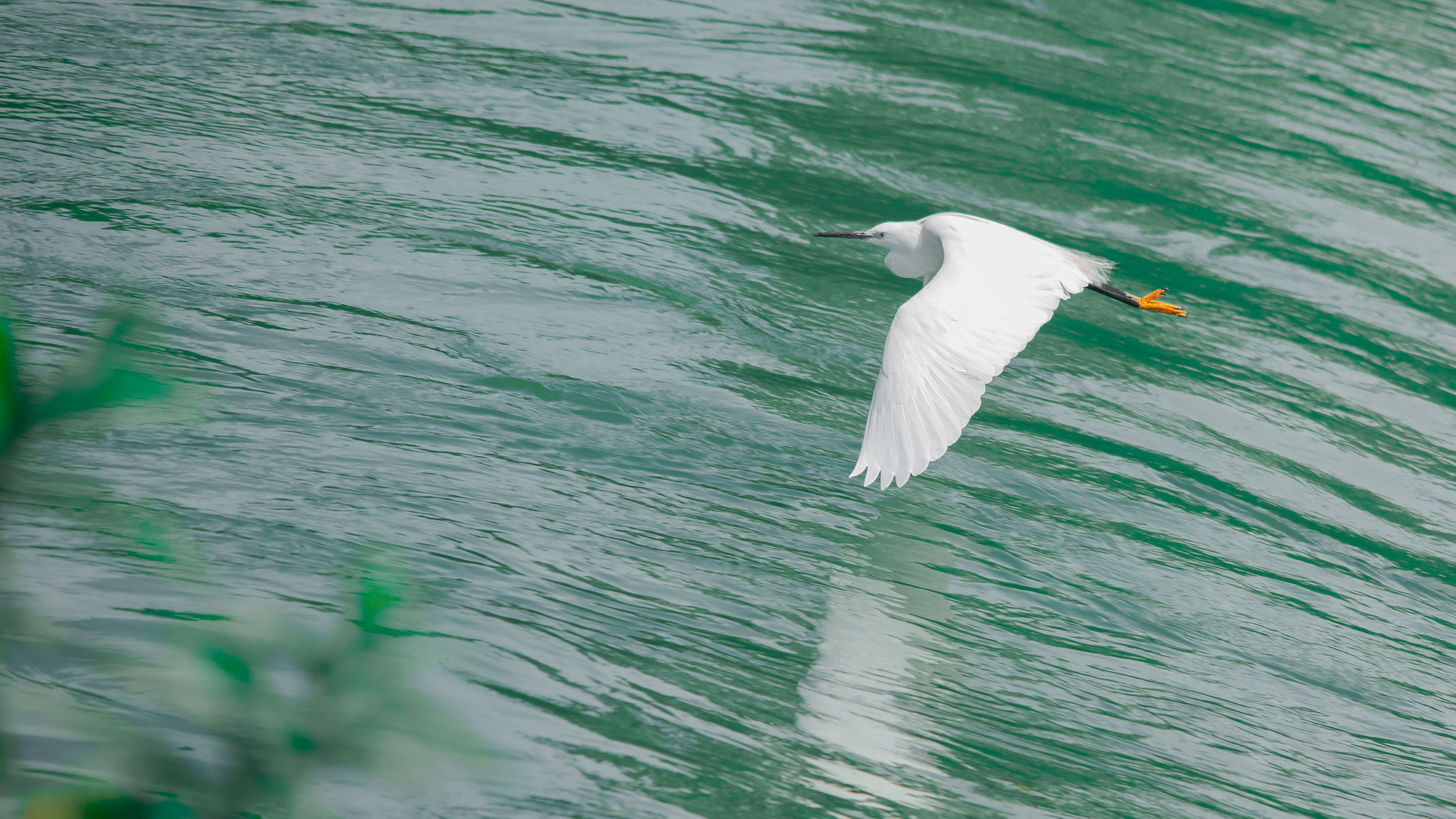 Sigma 150-500mm F5-6.3 DG OS HSM sample photo. Sky surfing photography