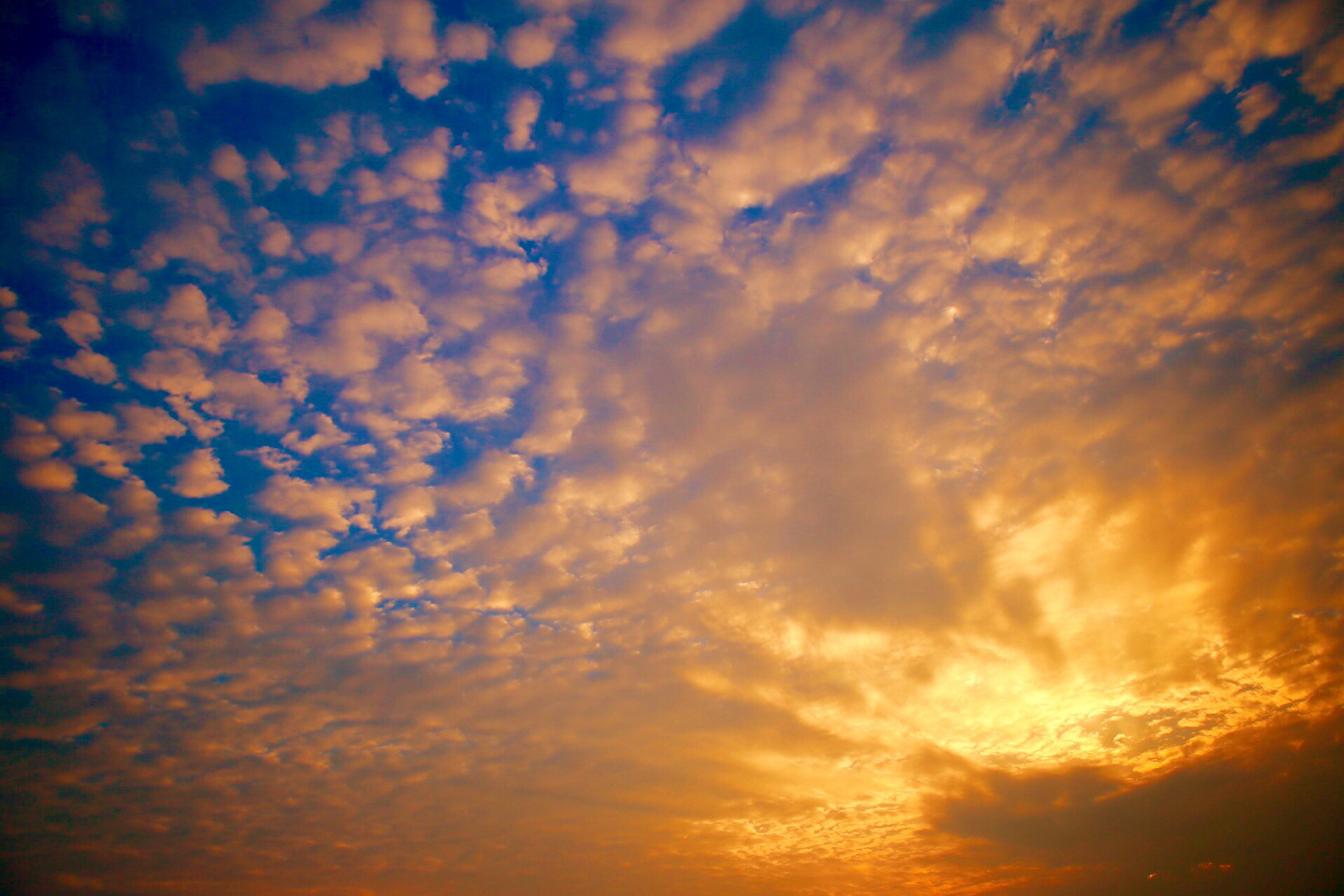 Canon EOS 6D + Canon EF 24-70mm F2.8L USM sample photo. 火烧 photography