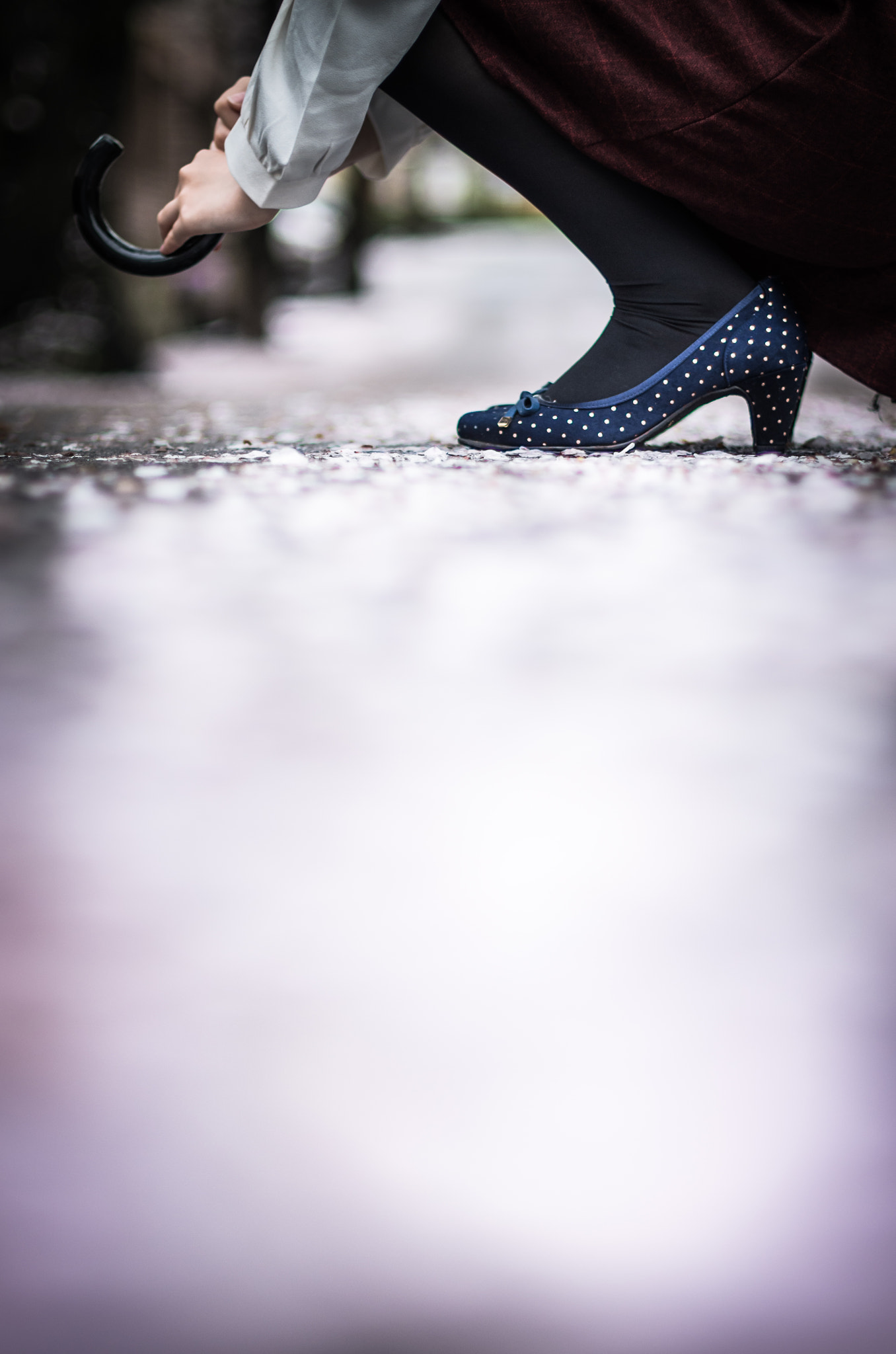 Pentax smc DA* 55mm F1.4 SDM sample photo. Spring rain.. photography