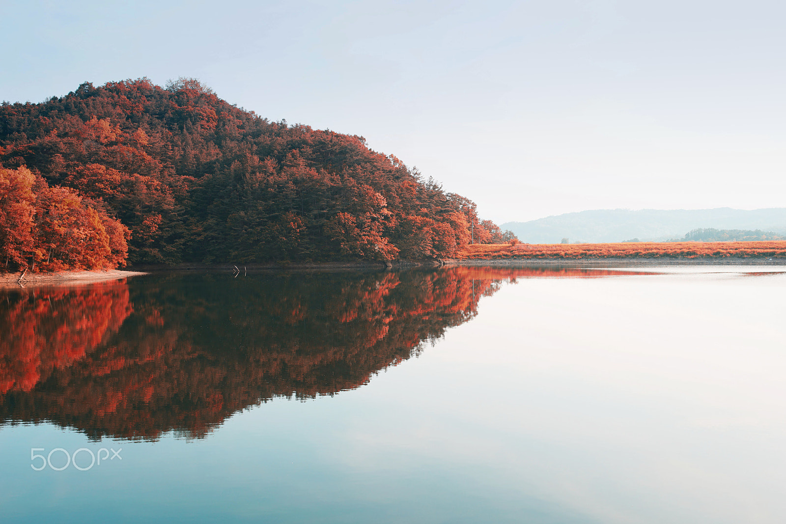 Sony a7 II sample photo. Mirror of the autumn photography