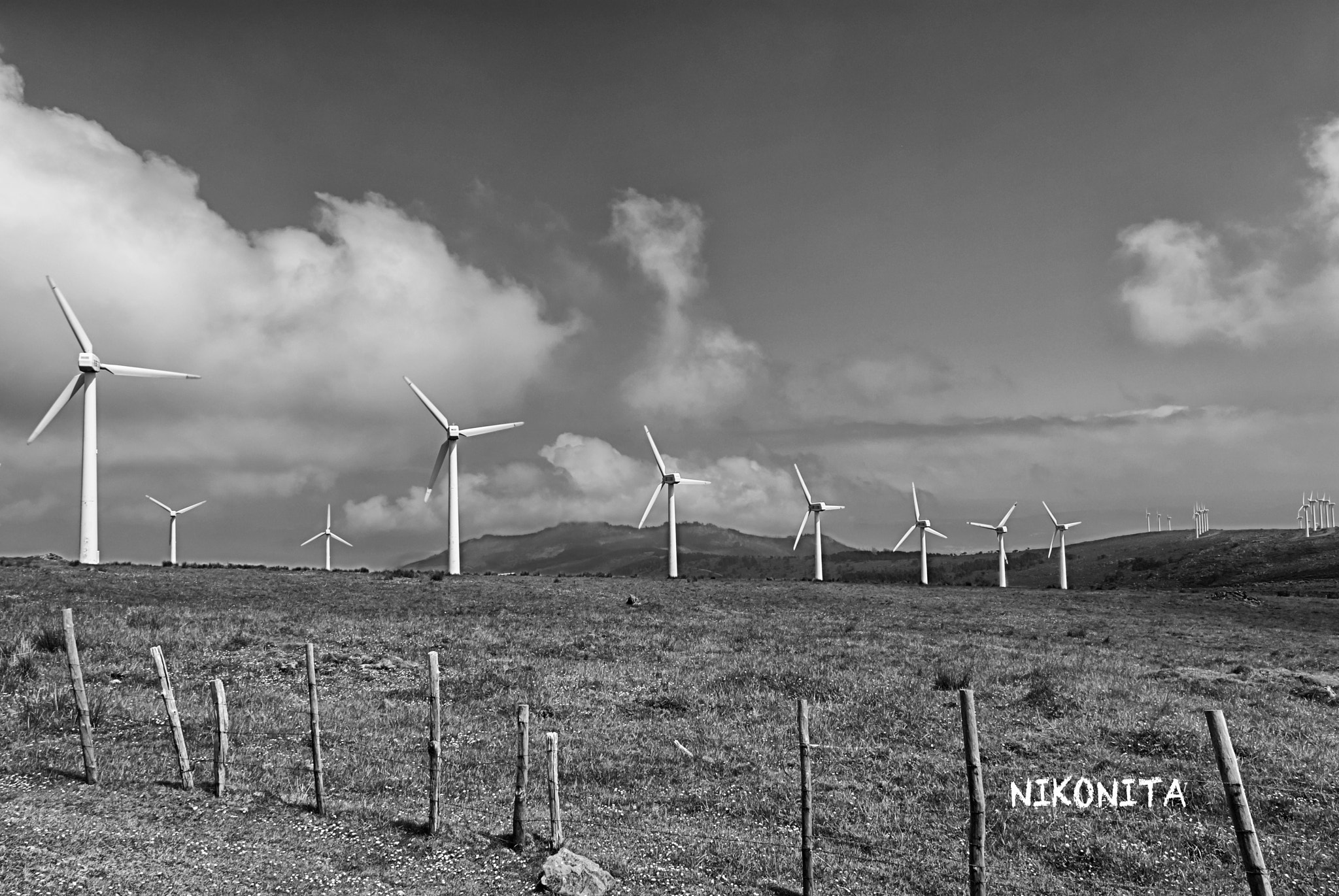 Nikon D60 sample photo. Molinos photography