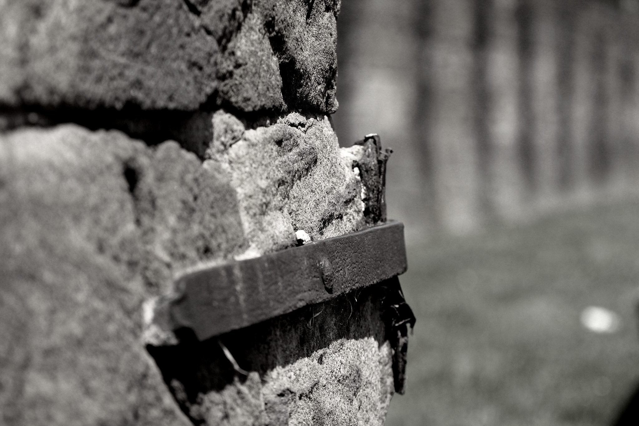 Canon EOS 650D (EOS Rebel T4i / EOS Kiss X6i) sample photo. Built with intent photography