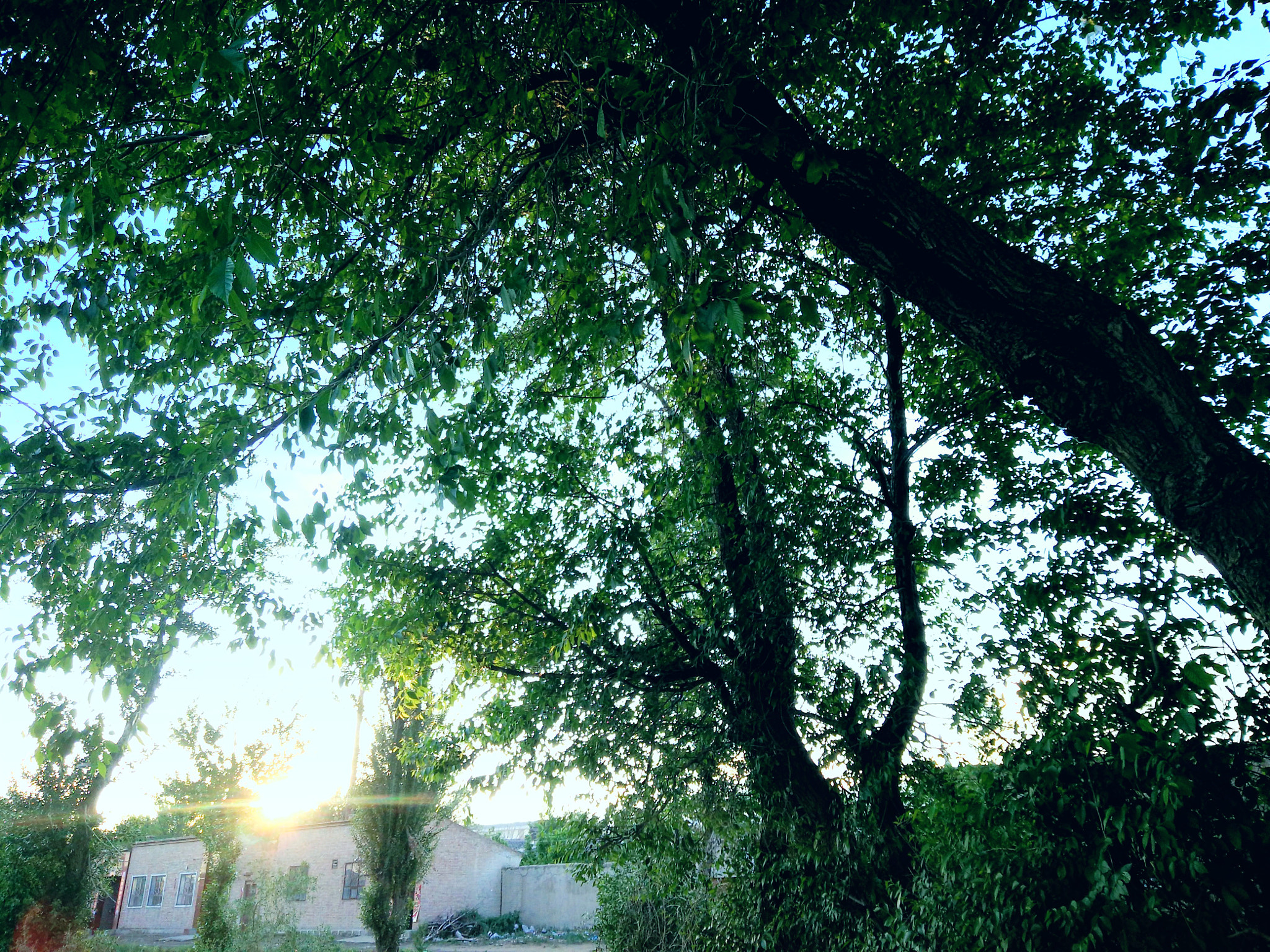 OPPO R7 Plusm sample photo