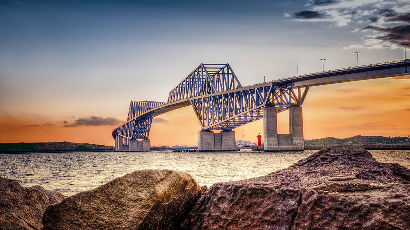 Nikon D600 + AF Zoom-Nikkor 24-120mm f/3.5-5.6D IF sample photo. Dinosaur bridge,tokyo photography