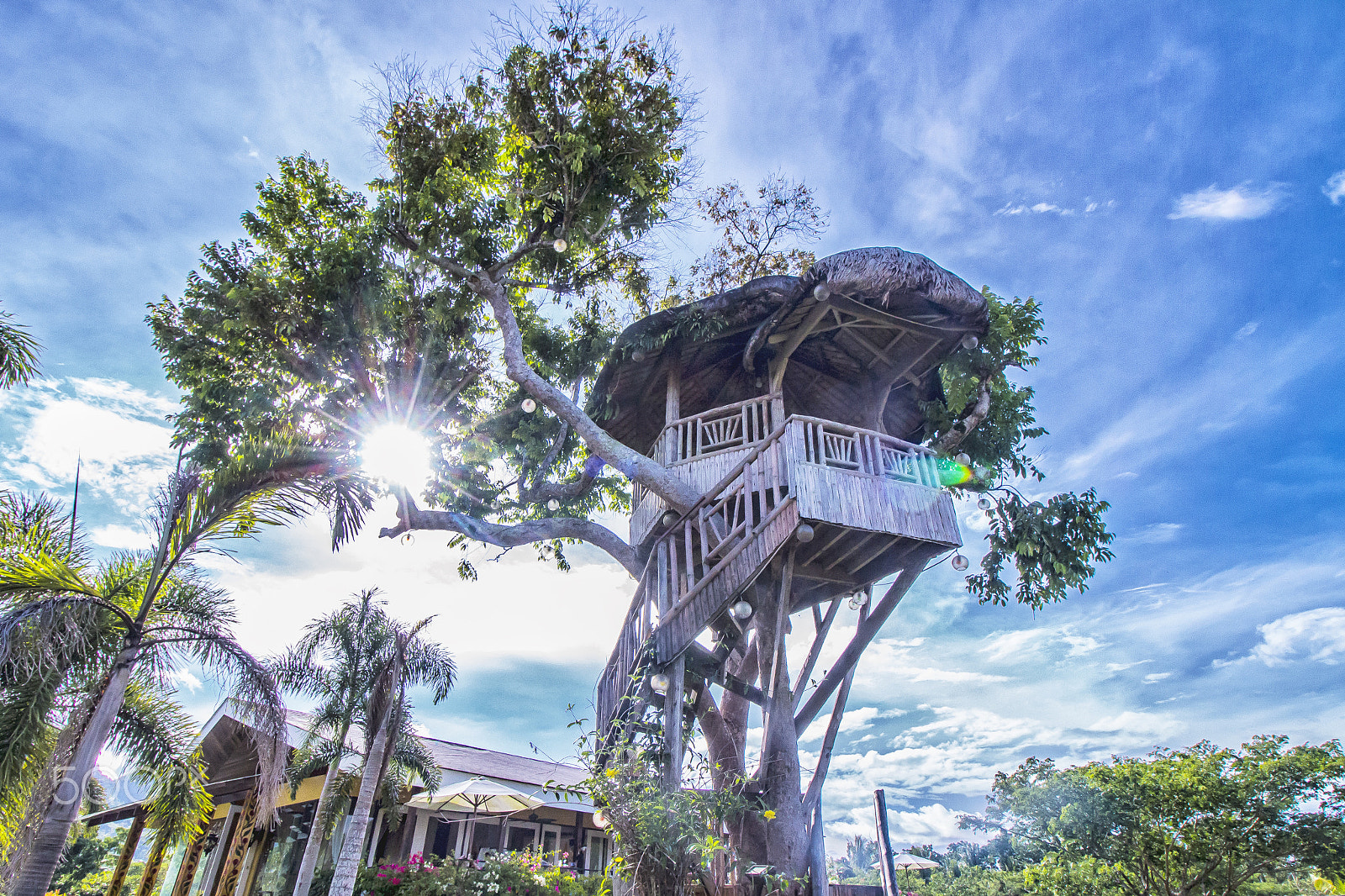 Canon EF-S 10-18mm F4.5–5.6 IS STM sample photo. Treehouse photography