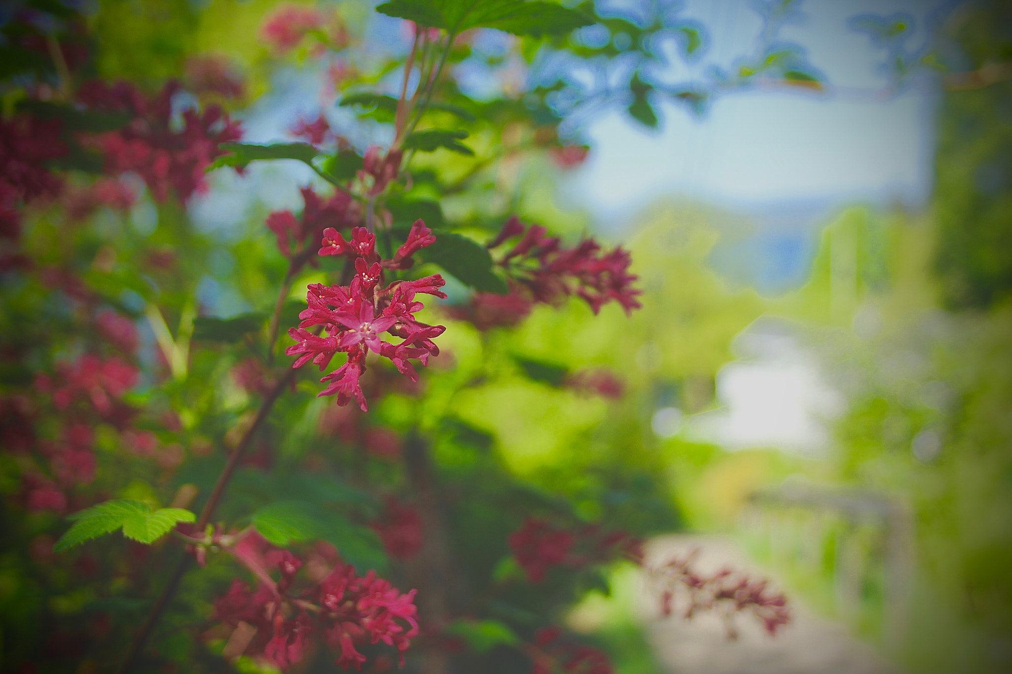 Canon EF-S 18-55mm F3.5-5.6 sample photo. Nesodden photography
