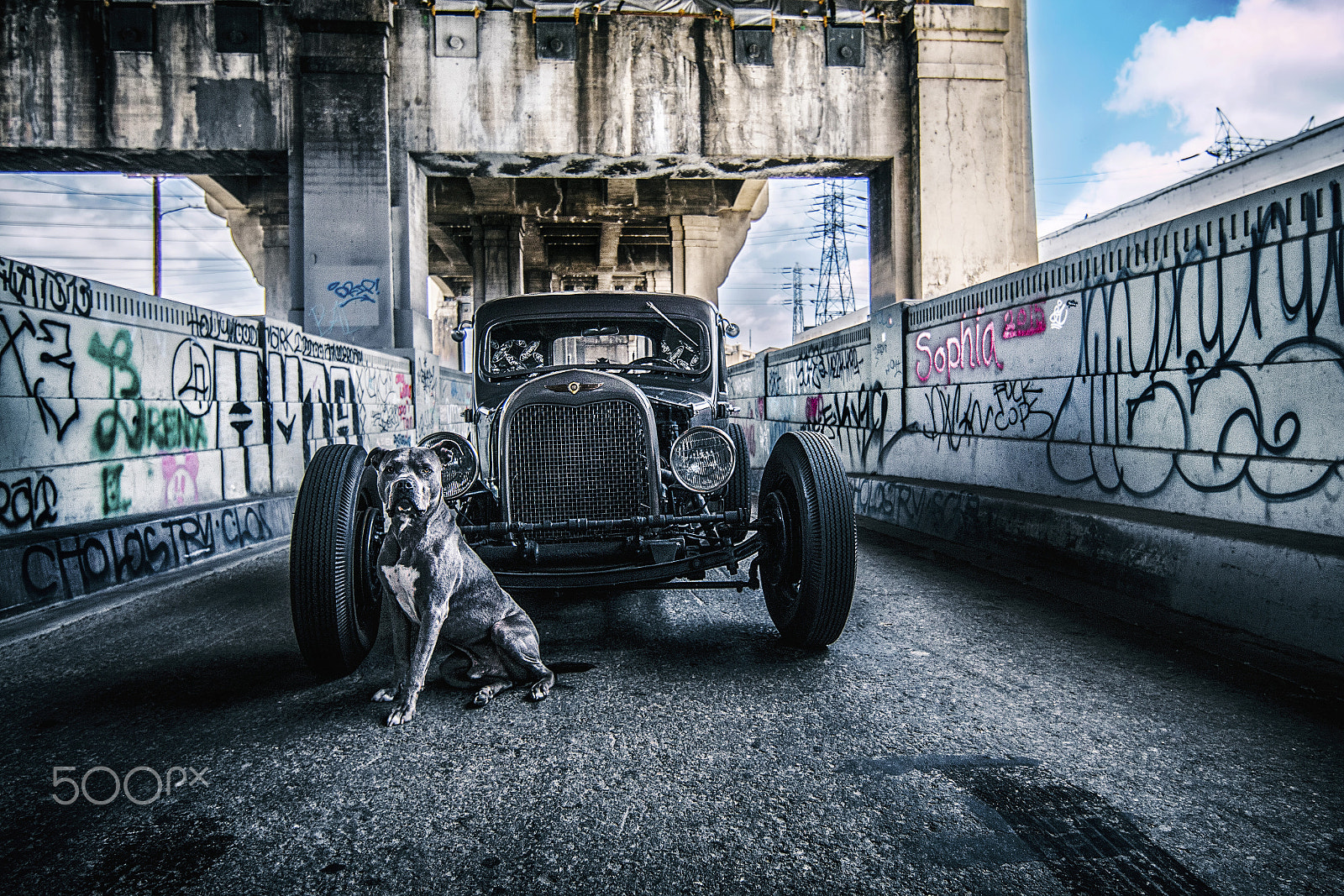 Canon EF 14mm F2.8L II USM sample photo. A dog and his truck photography