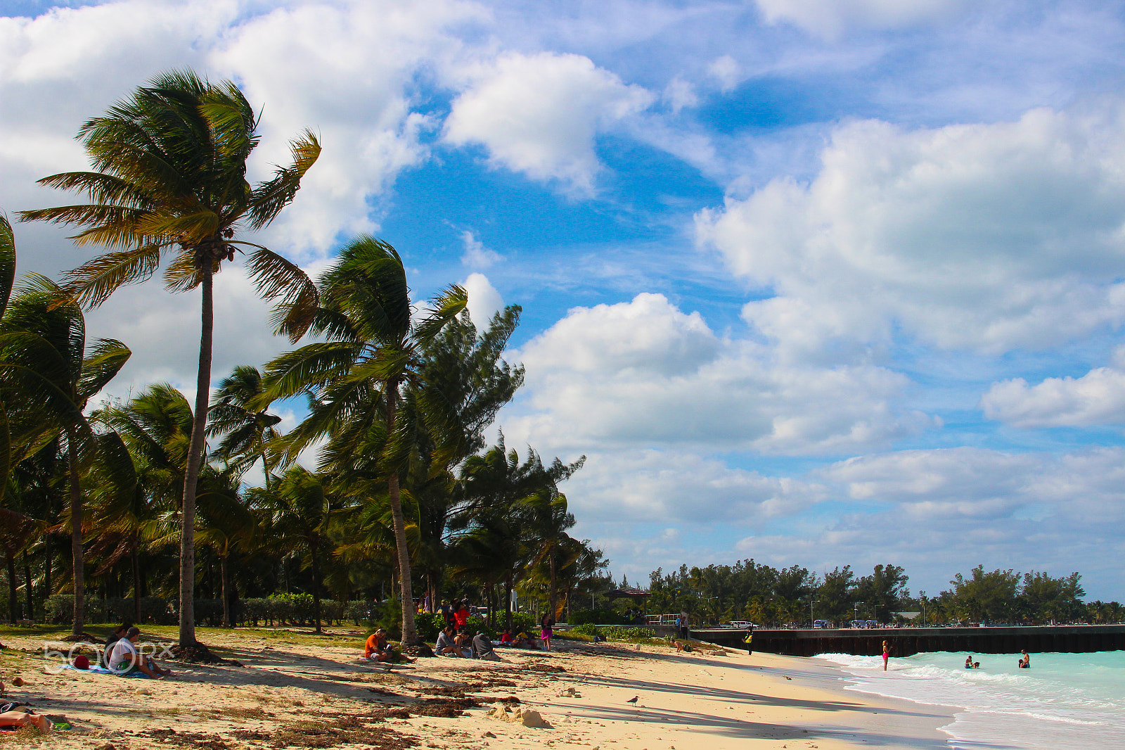 Canon EF 28-105mm f/3.5-4.5 USM sample photo. Joyous breeze photography