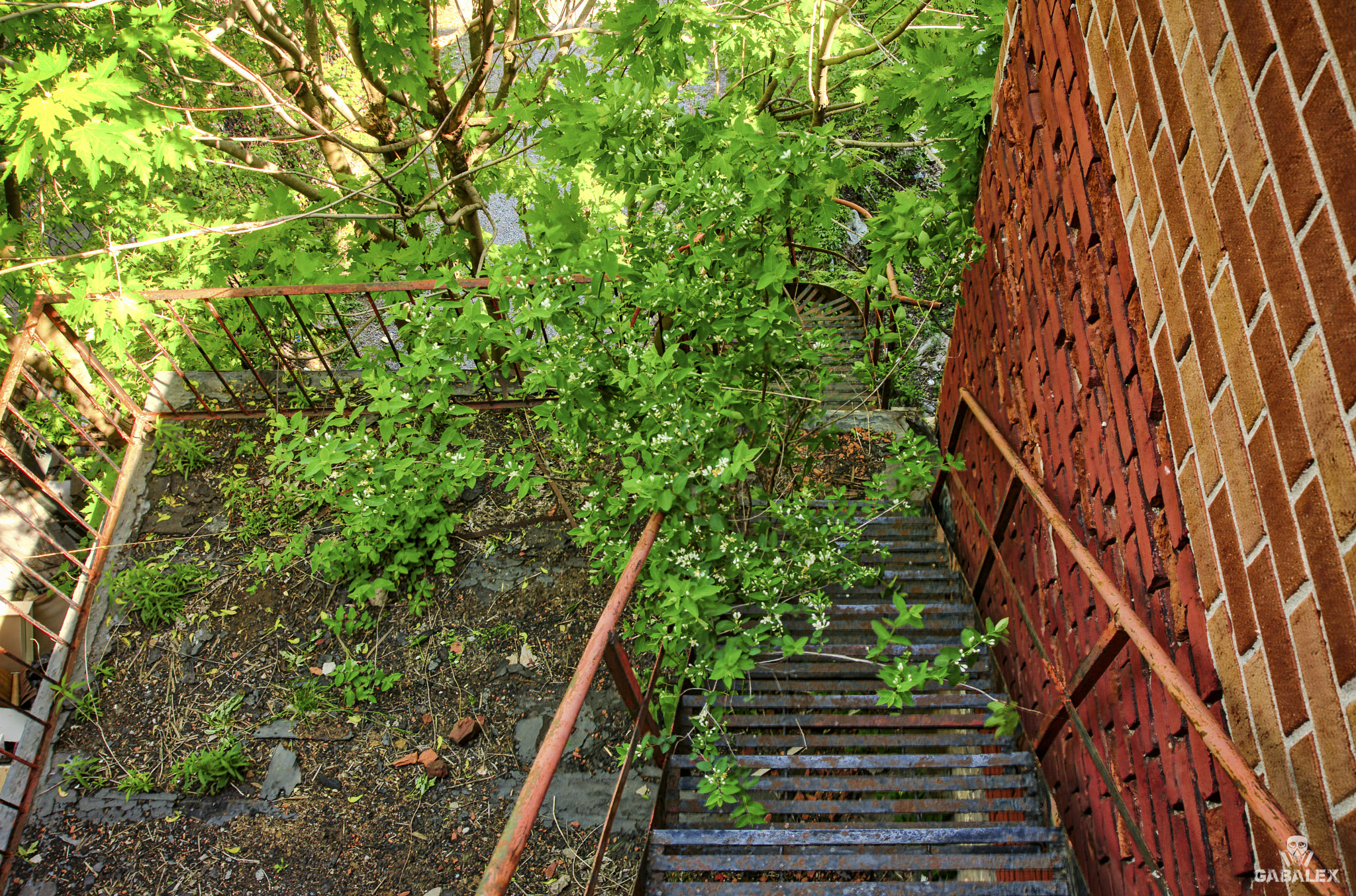 Nikon D700 + Sigma 17-35mm F2.8-4 EX Aspherical sample photo. Old stairs photography