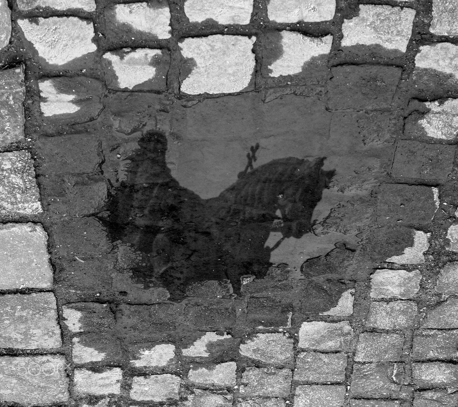 Canon EF 50mm f/1.8 sample photo. Reflection of king st. stephen photography
