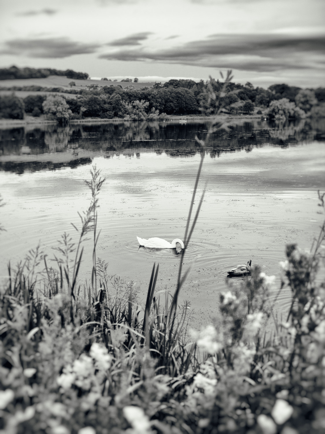 Canon EOS 60D + Canon EF 28mm F2.8 sample photo. Linlithgow photography