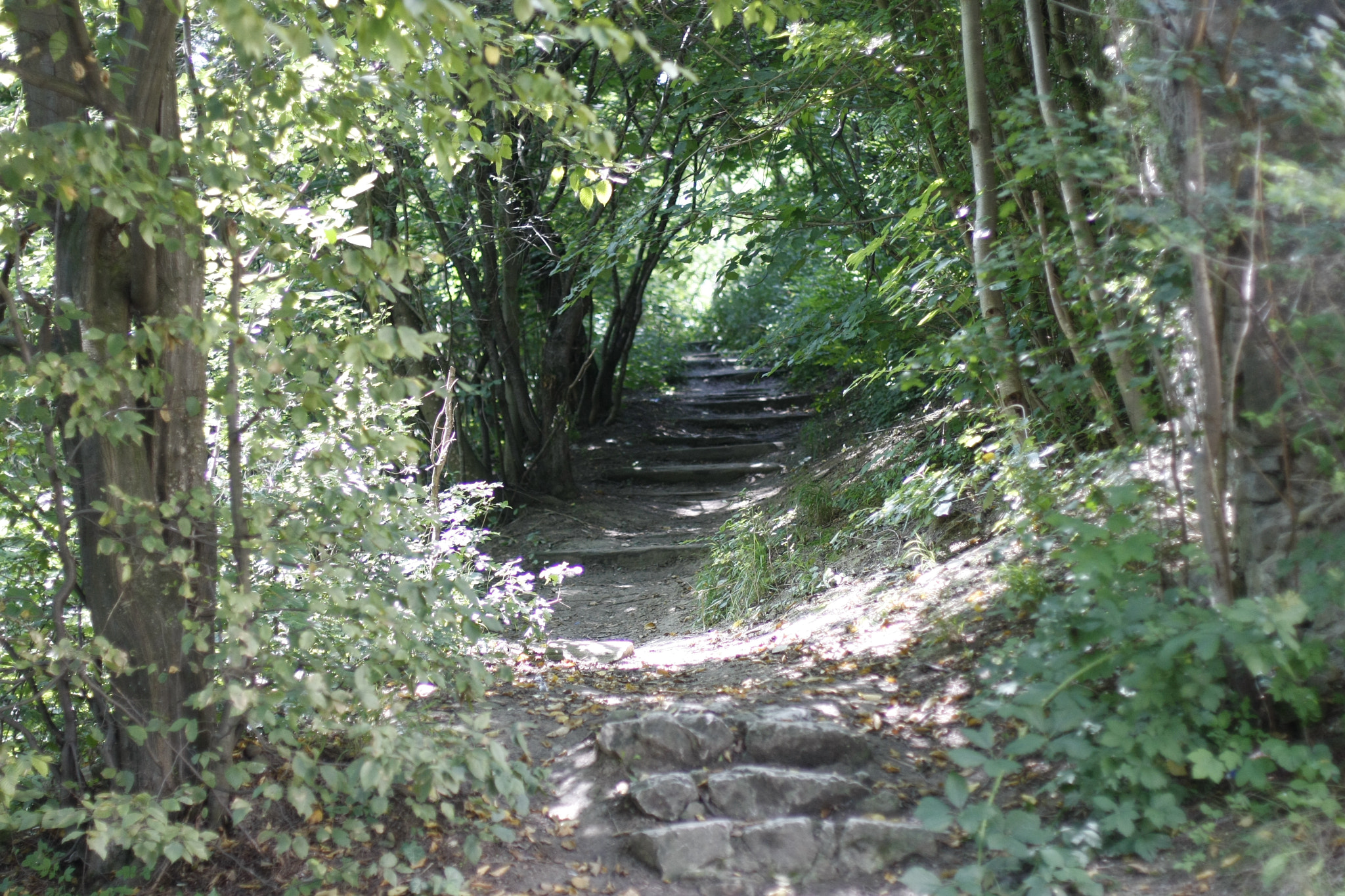 Canon EOS 40D + Canon EF 50mm F1.4 USM sample photo. Road to another world photography