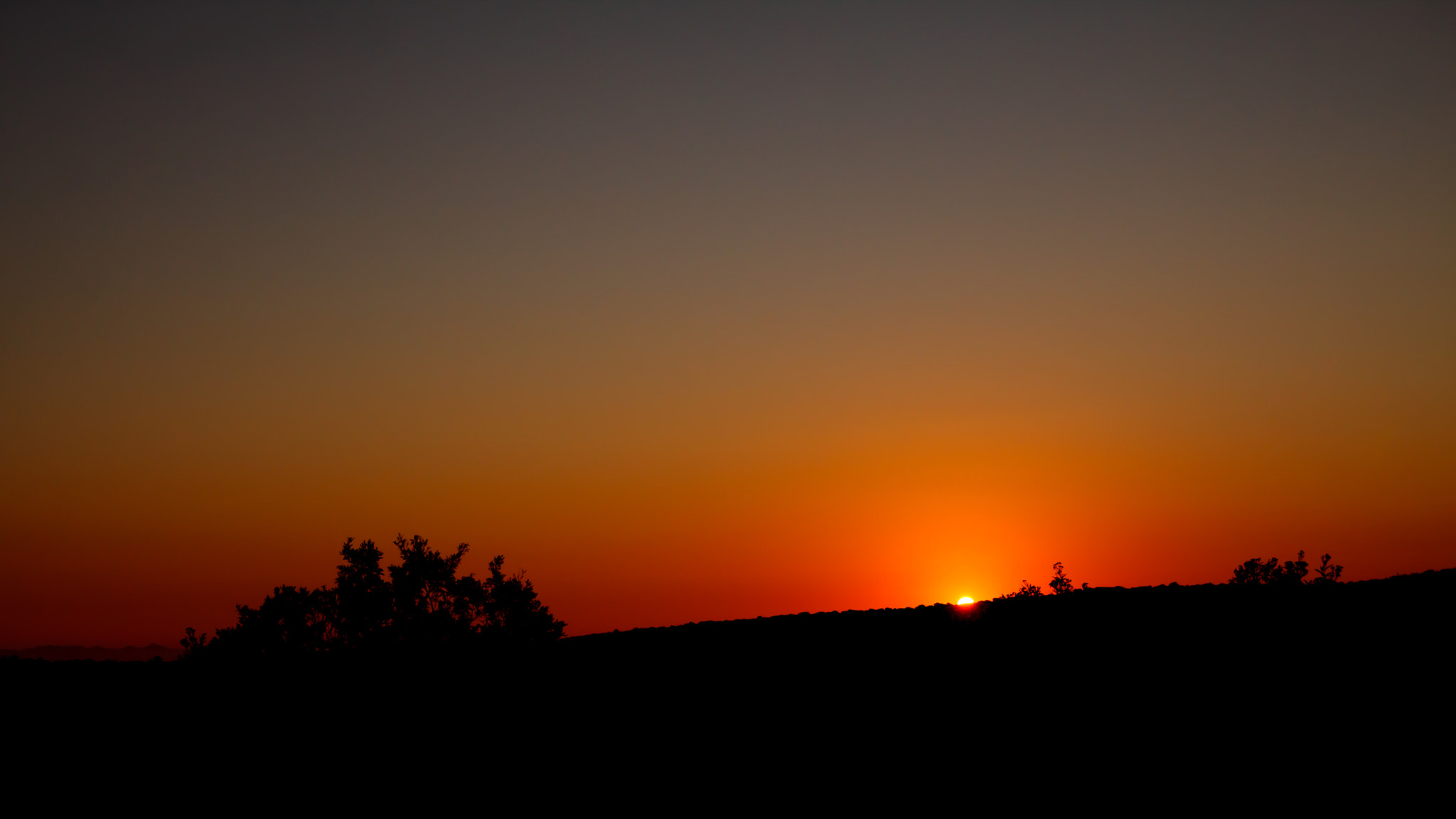 Canon EOS 50D + Canon EF 300mm f/2.8L sample photo. Sunset over addo photography