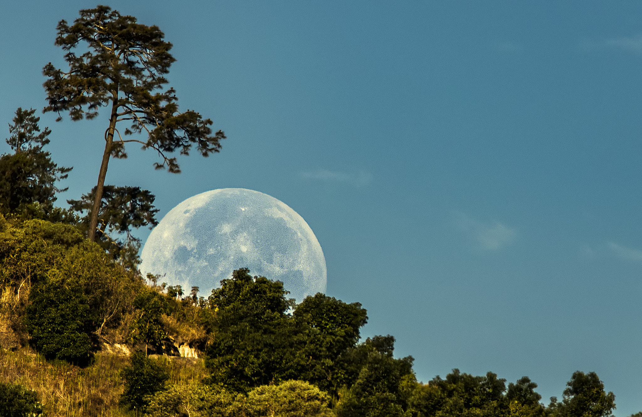 150-600mm F5-6.3 DG OS HSM | Contemporary 015 sample photo. Morning moon photography