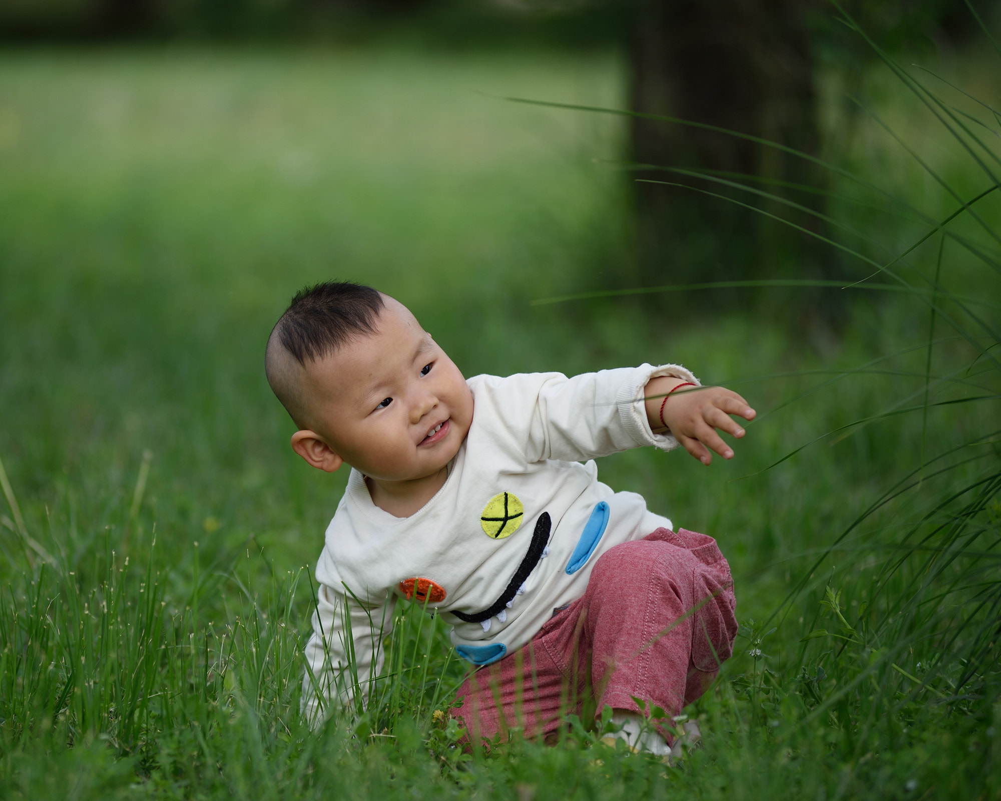 Nikon AF-Nikkor 80-200mm F2.8D ED sample photo. 开心果 photography