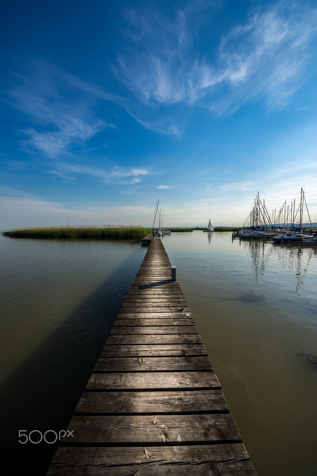 Sigma 8-16mm F4.5-5.6 DC HSM sample photo. Endless photography
