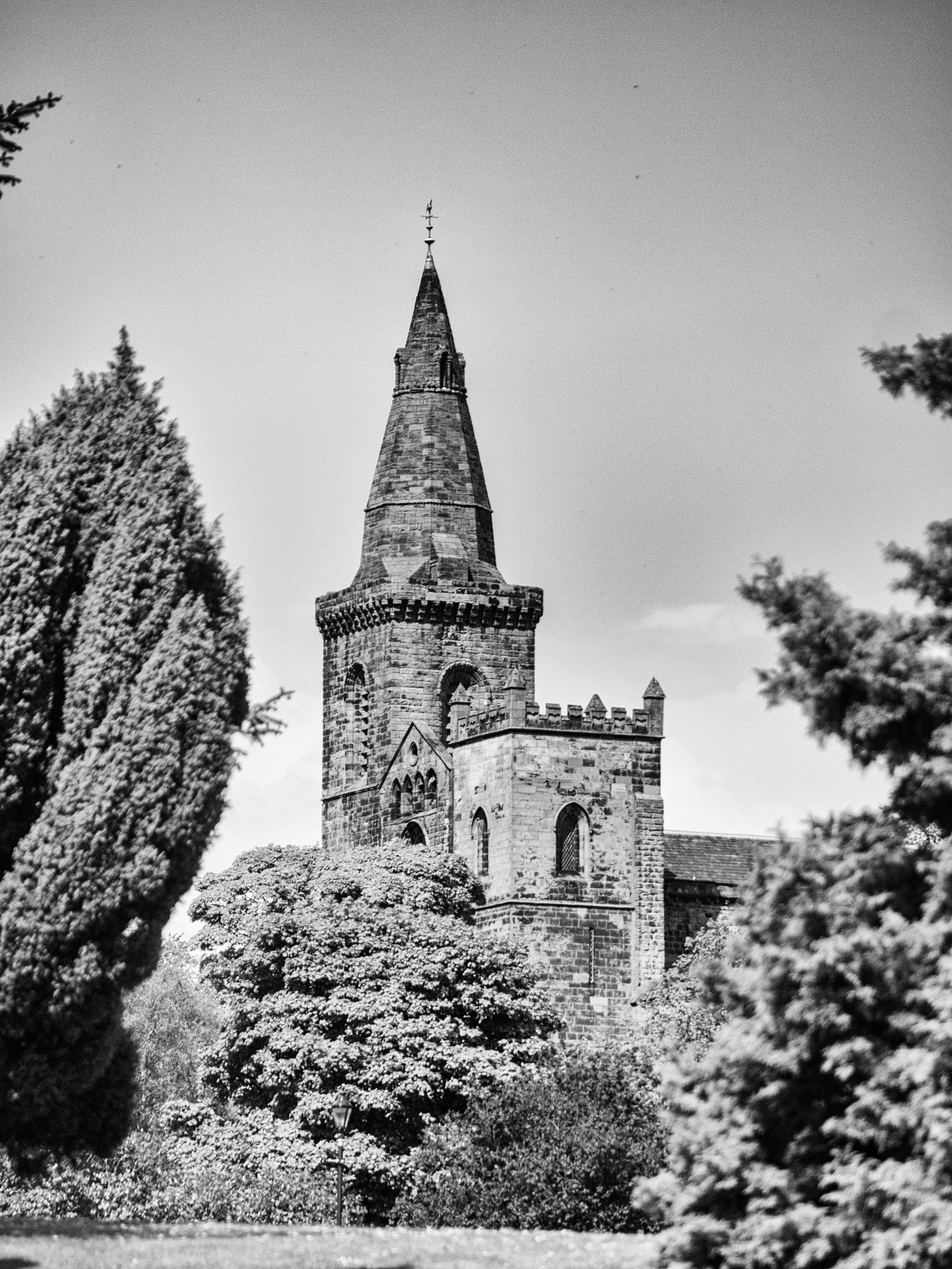 Panasonic Lumix G Vario 45-200mm F4-5.6 OIS sample photo. -1605_pittencrieff_park043043-edit.jpg photography