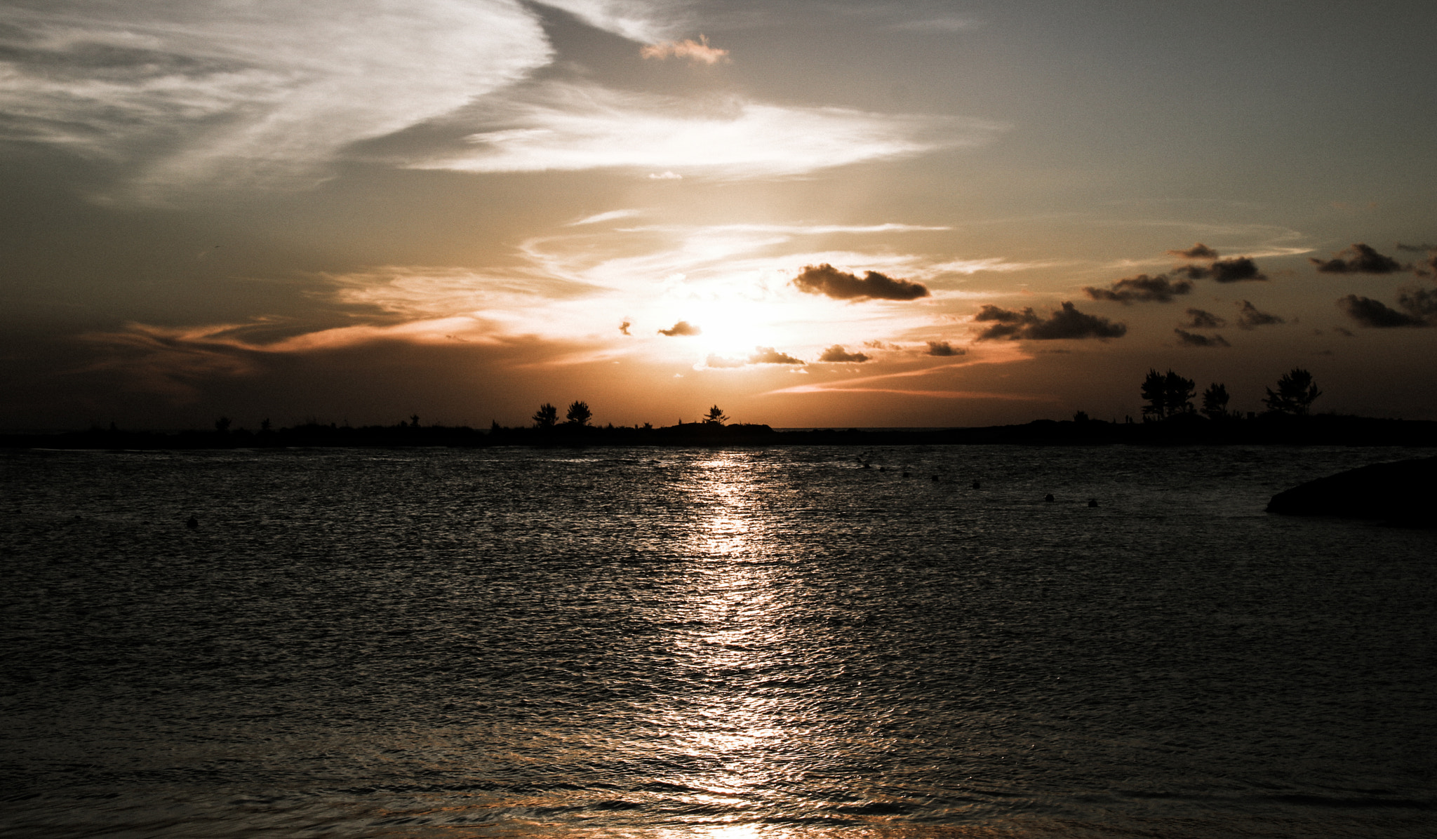 Canon EOS 760D (EOS Rebel T6s / EOS 8000D) sample photo. Shark ahead photography